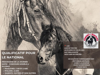 Concours régional de race Mérens