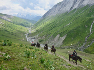 2 jours à 2000 m d'altitude avec nos mérens