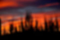 july09 1771.JPG