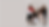 website 2.png