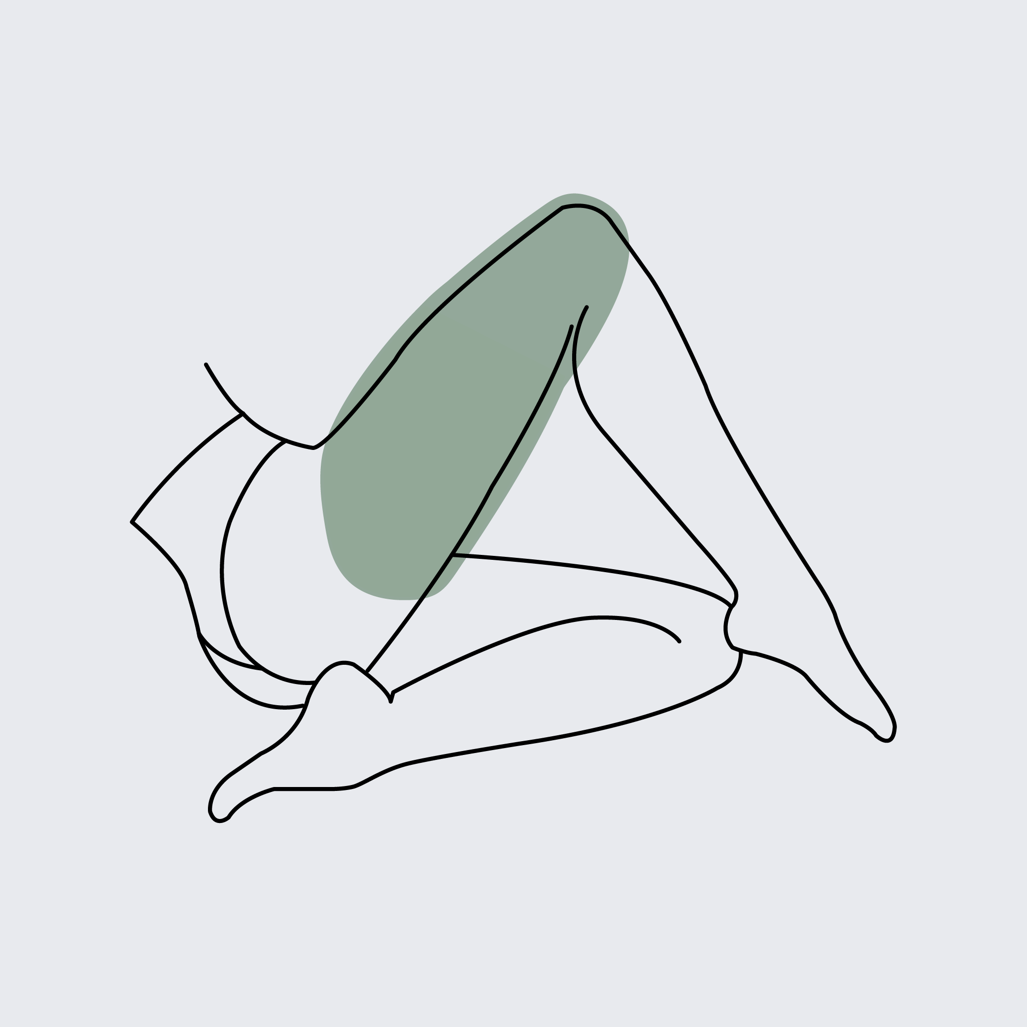 Radiofrequency Thighs Front & Back