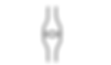 cico05 (1).png