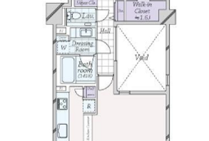 layout