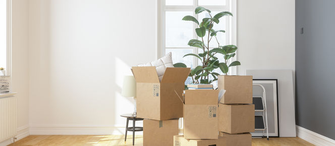 Move Out Procedures, What To Do?