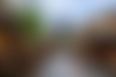 What It’s Really Like to Own a Home in Japan