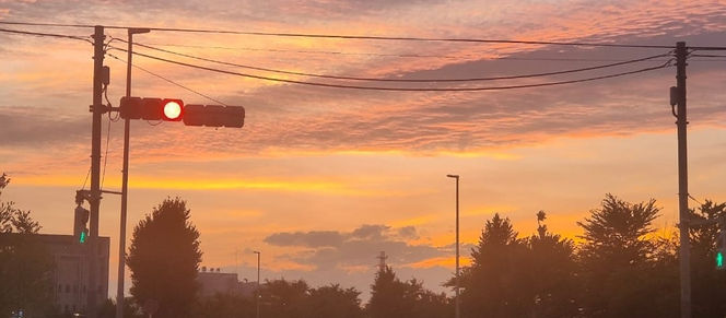 Kanamachi, Tokyo and Mizumoto Park: Where Nature and History Harmonize Beautifully