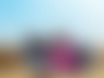 SRI LANKA HAS TO ENDURE IT AND RISE AGAIN