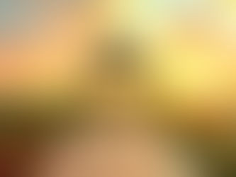 Юбилей - 25 лет