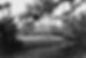 Runnymede 1917.jpeg