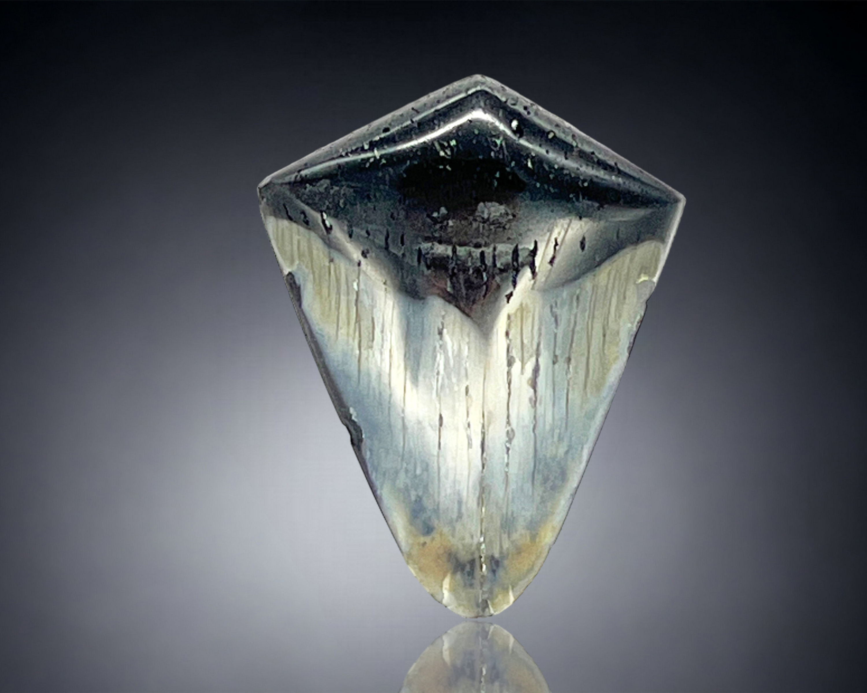 BASE - Cabochon (Shark Tooth)