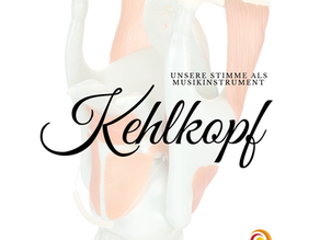 Der Kehlkopf