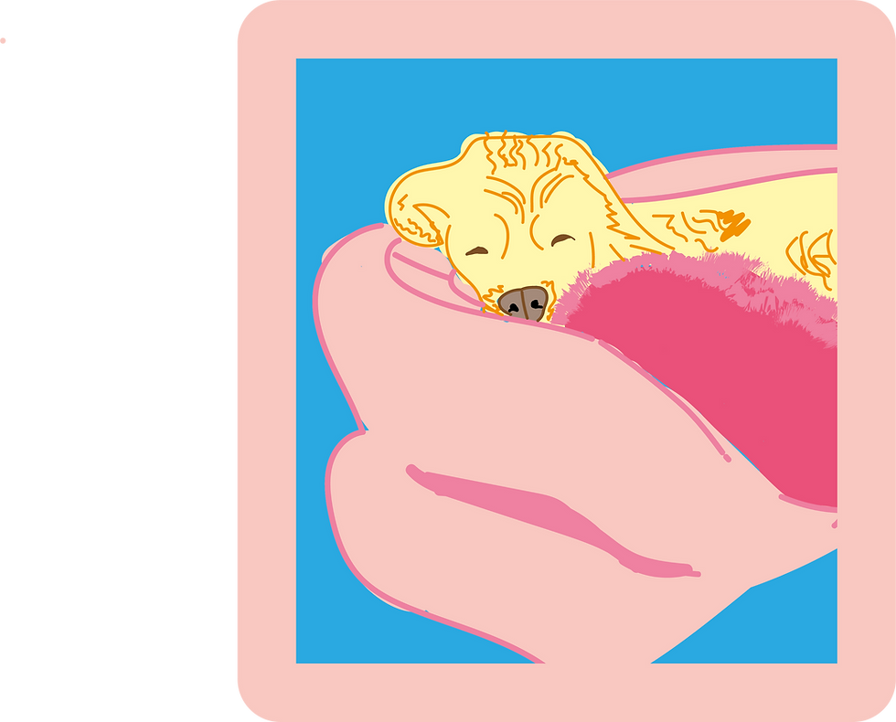 doggy boarding button .png