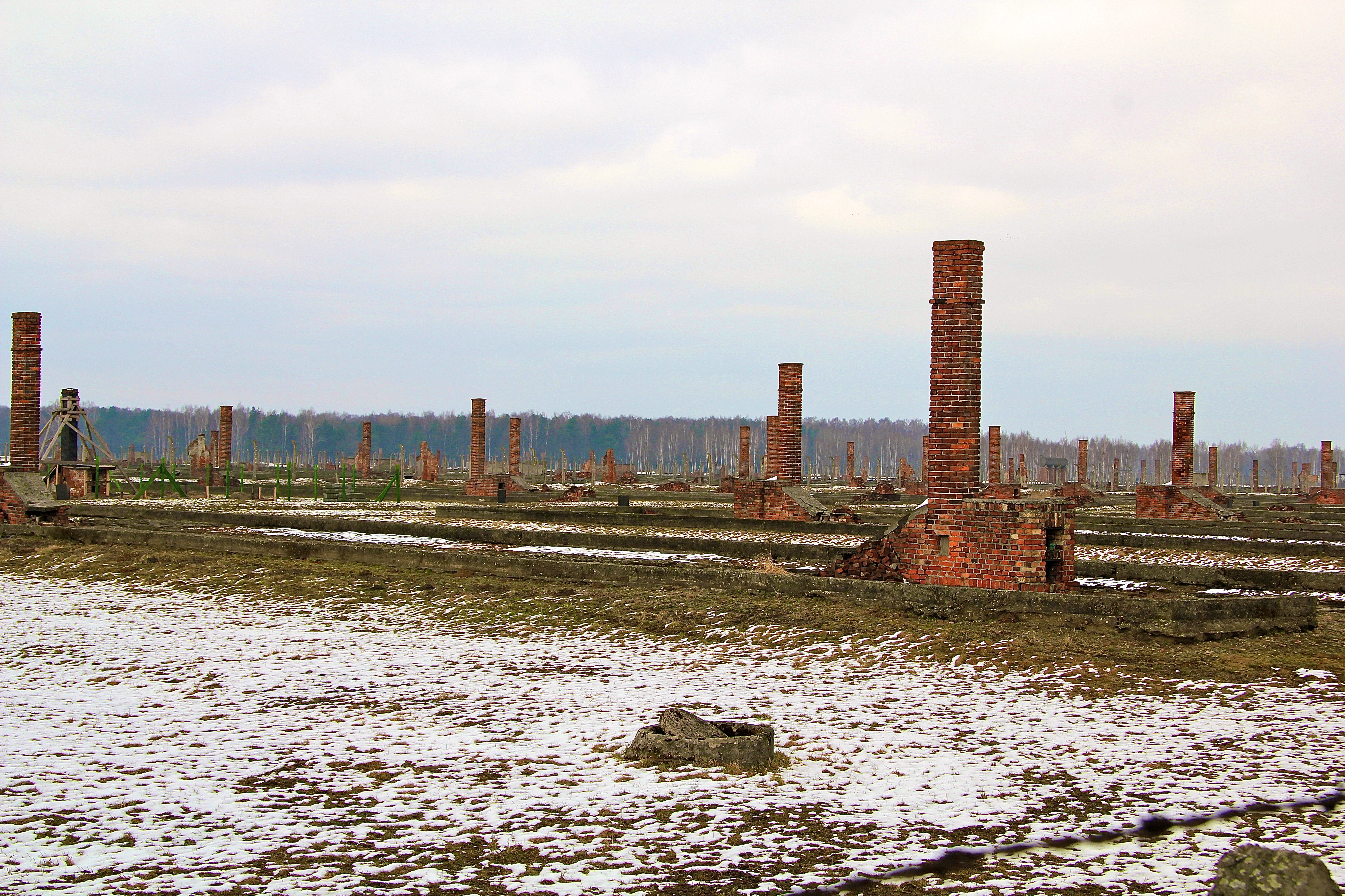 Birkenau