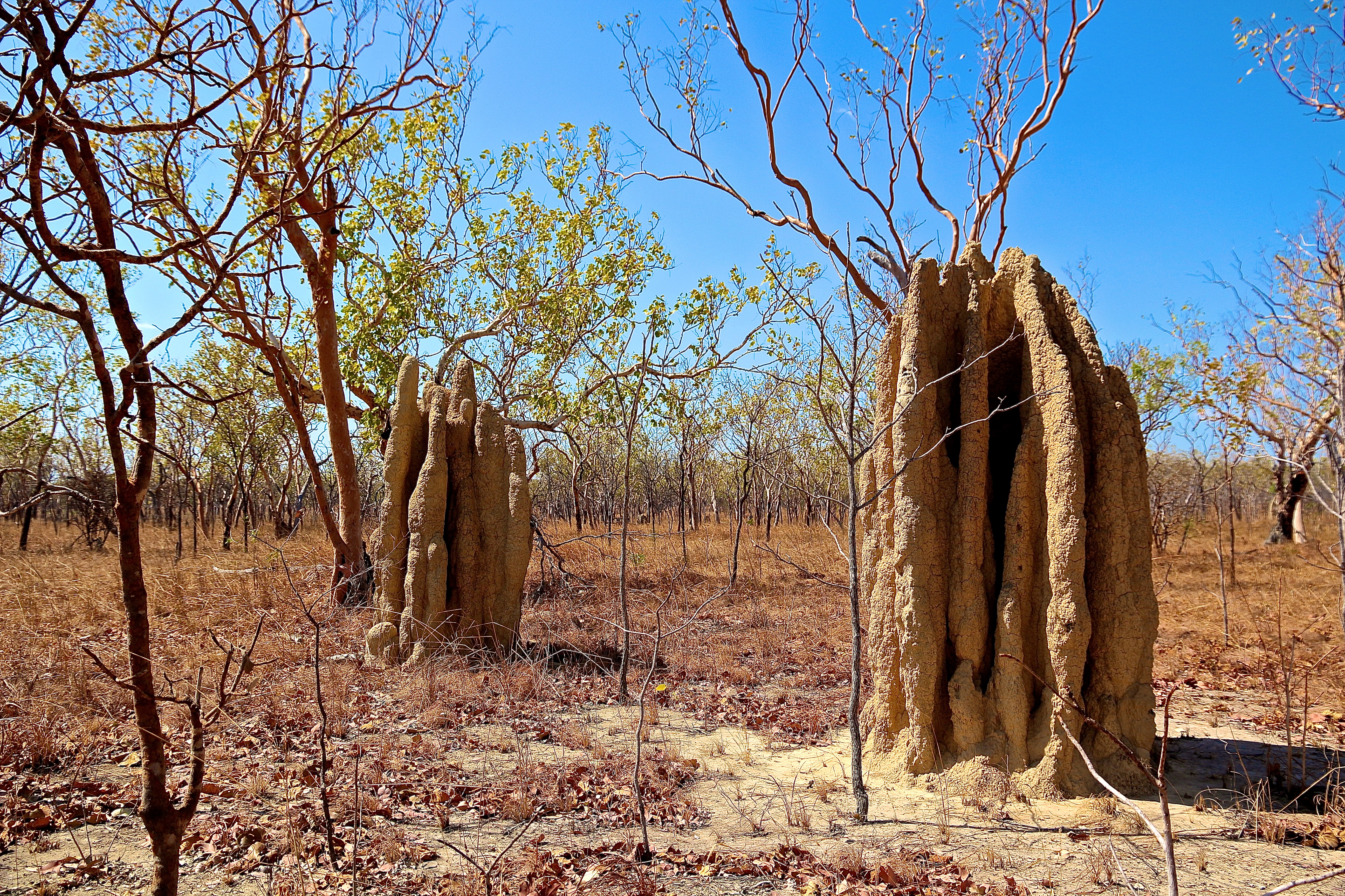 KAKADU NATIONAL PARK