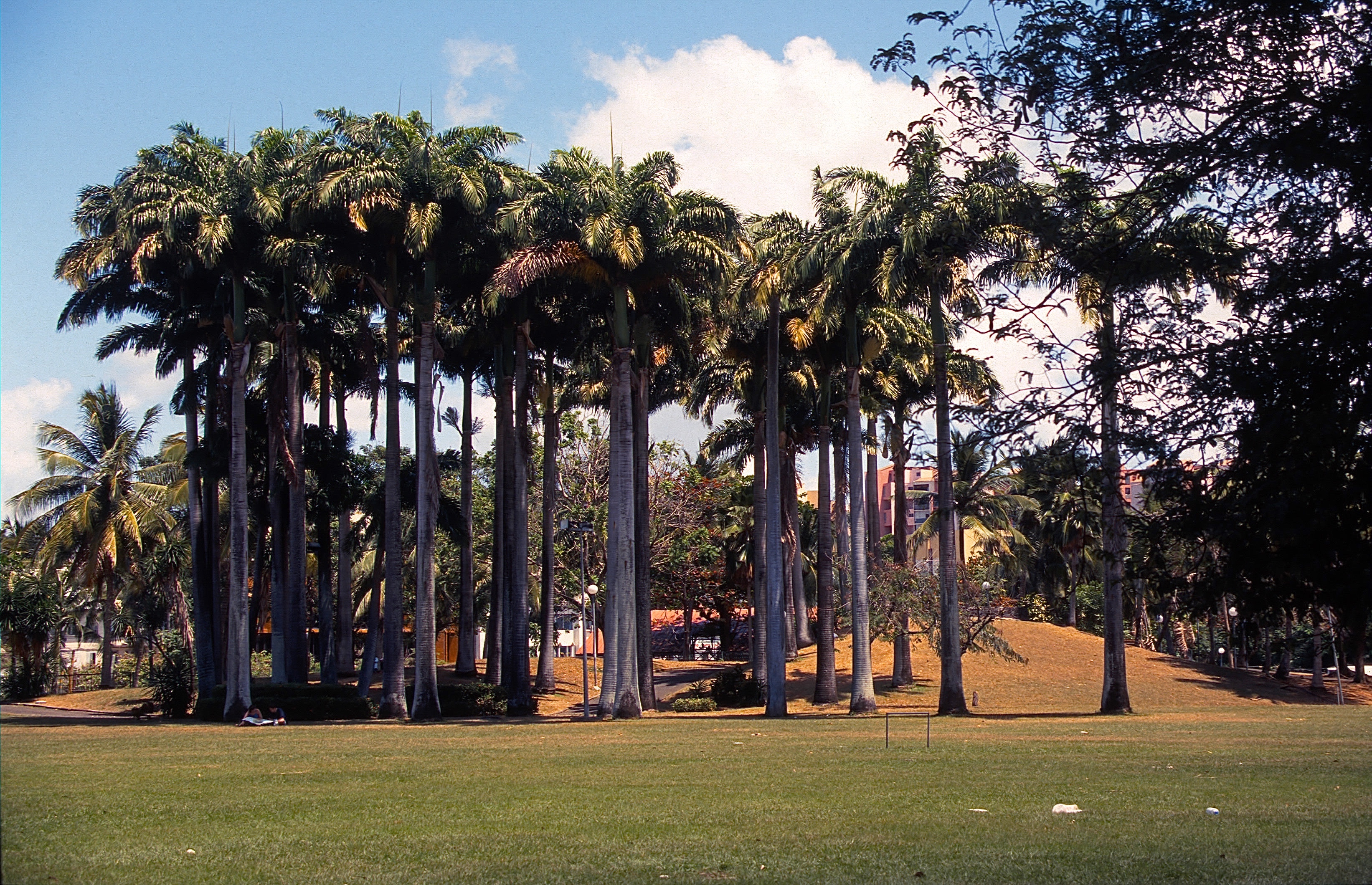 FORT-DE-FRANCE