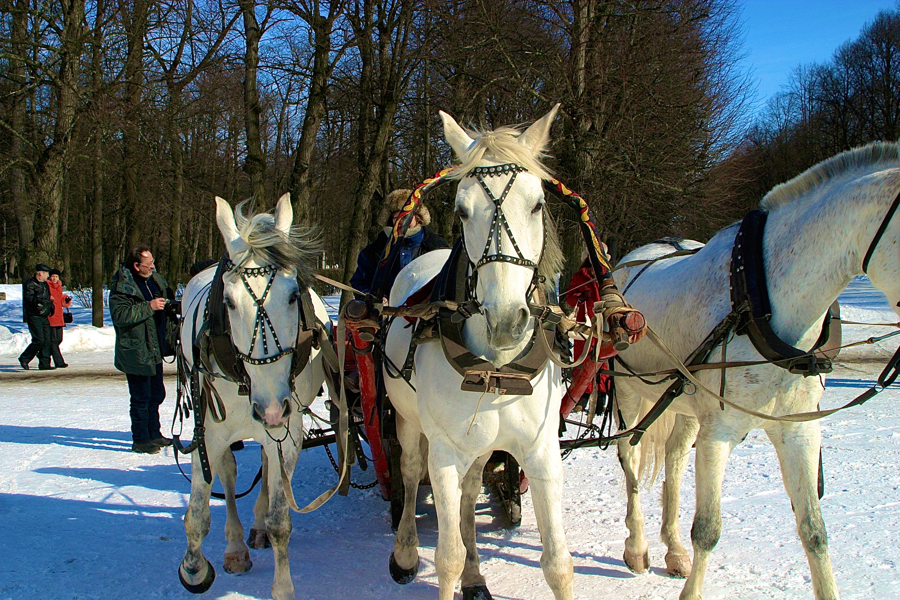 PAVLOVSK