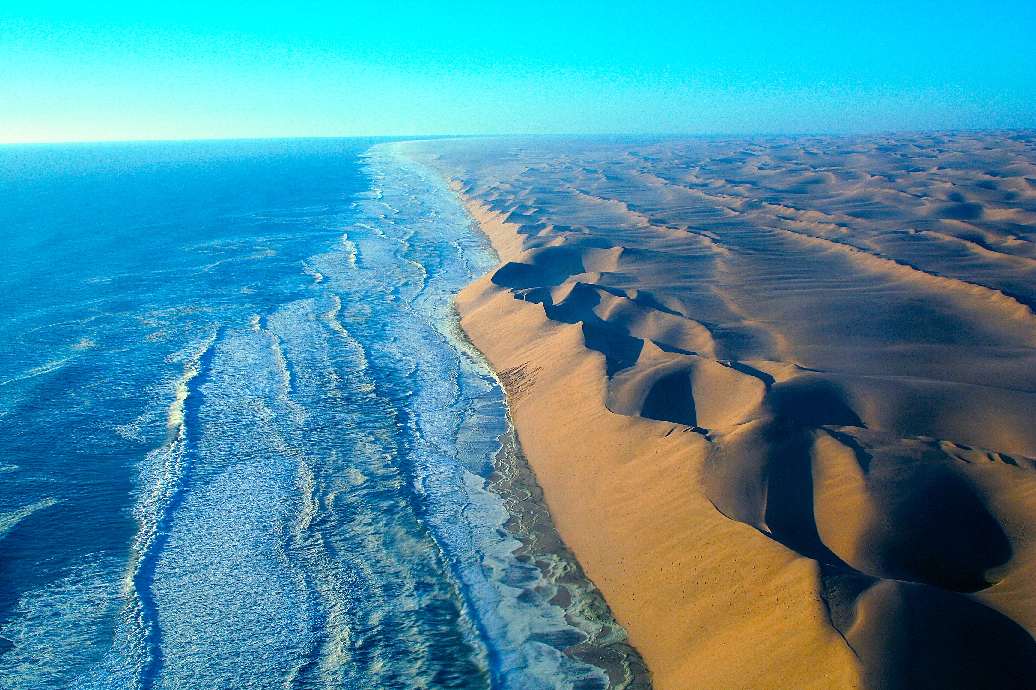 NAMIB