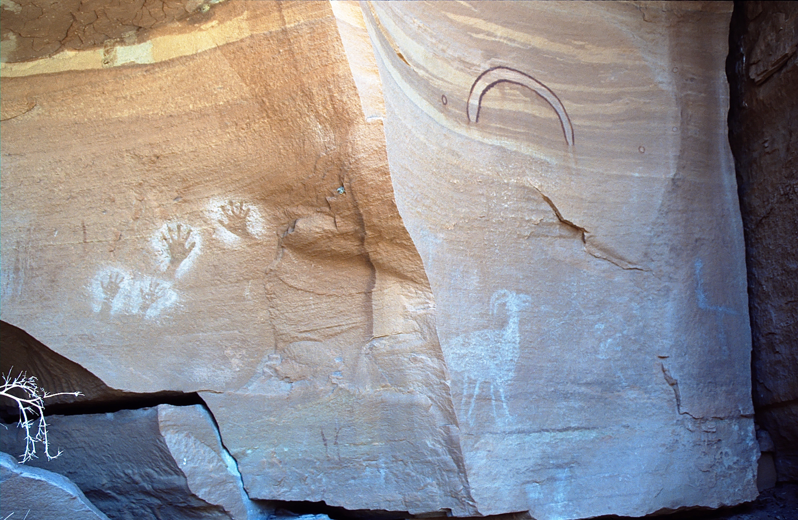 COLORADO RIVER