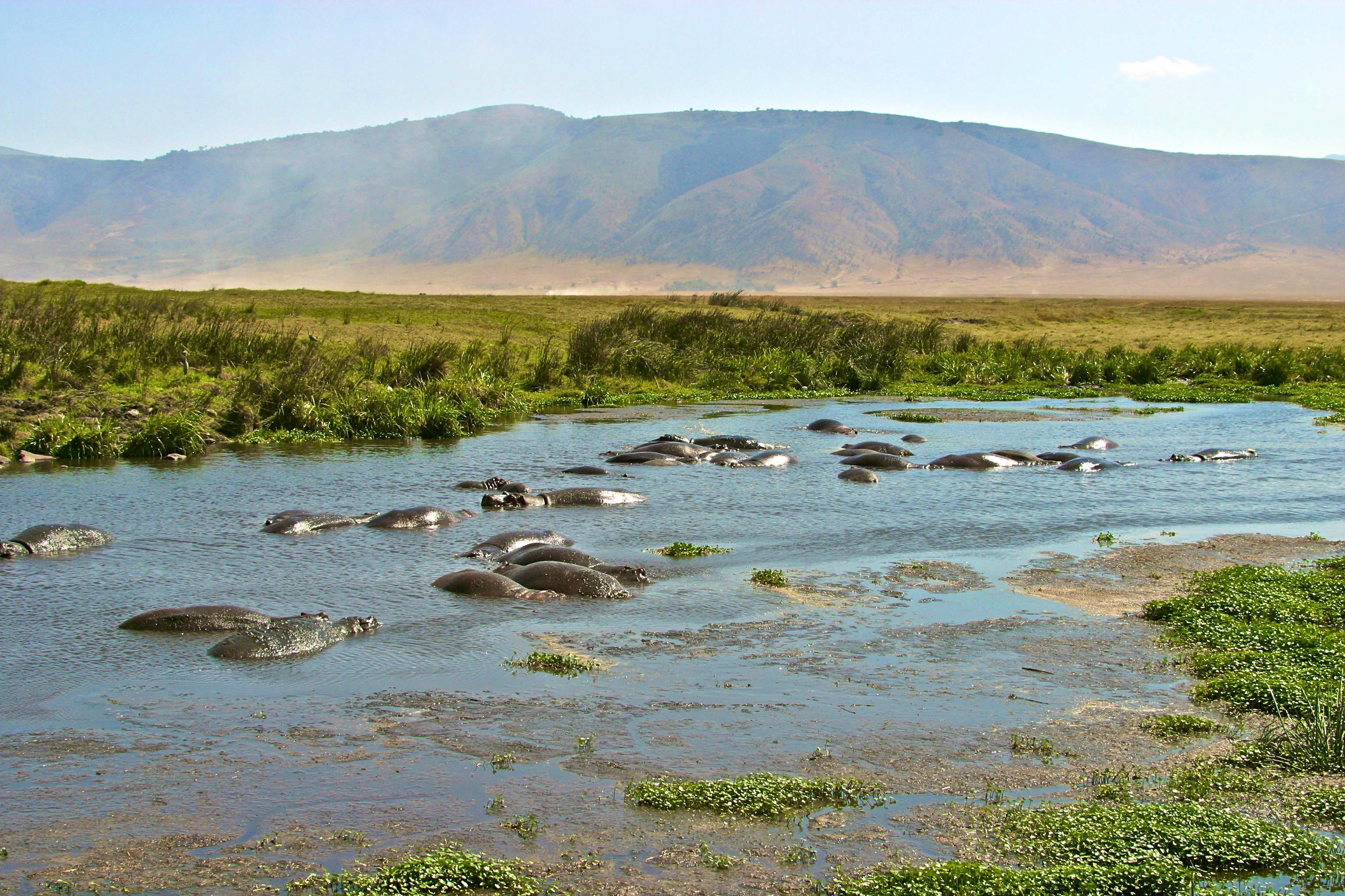 NGORONGORO