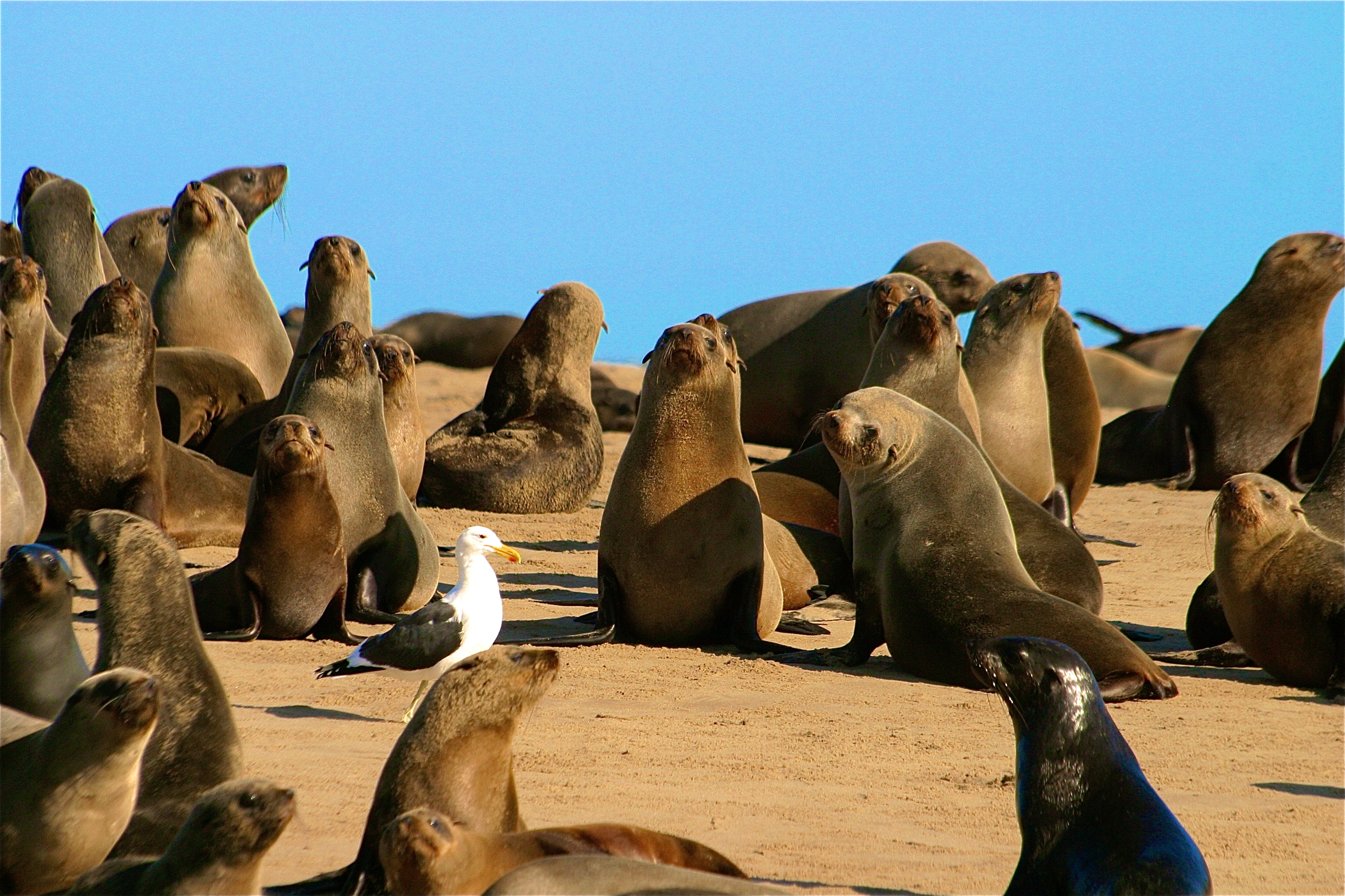 WALVIS BAY