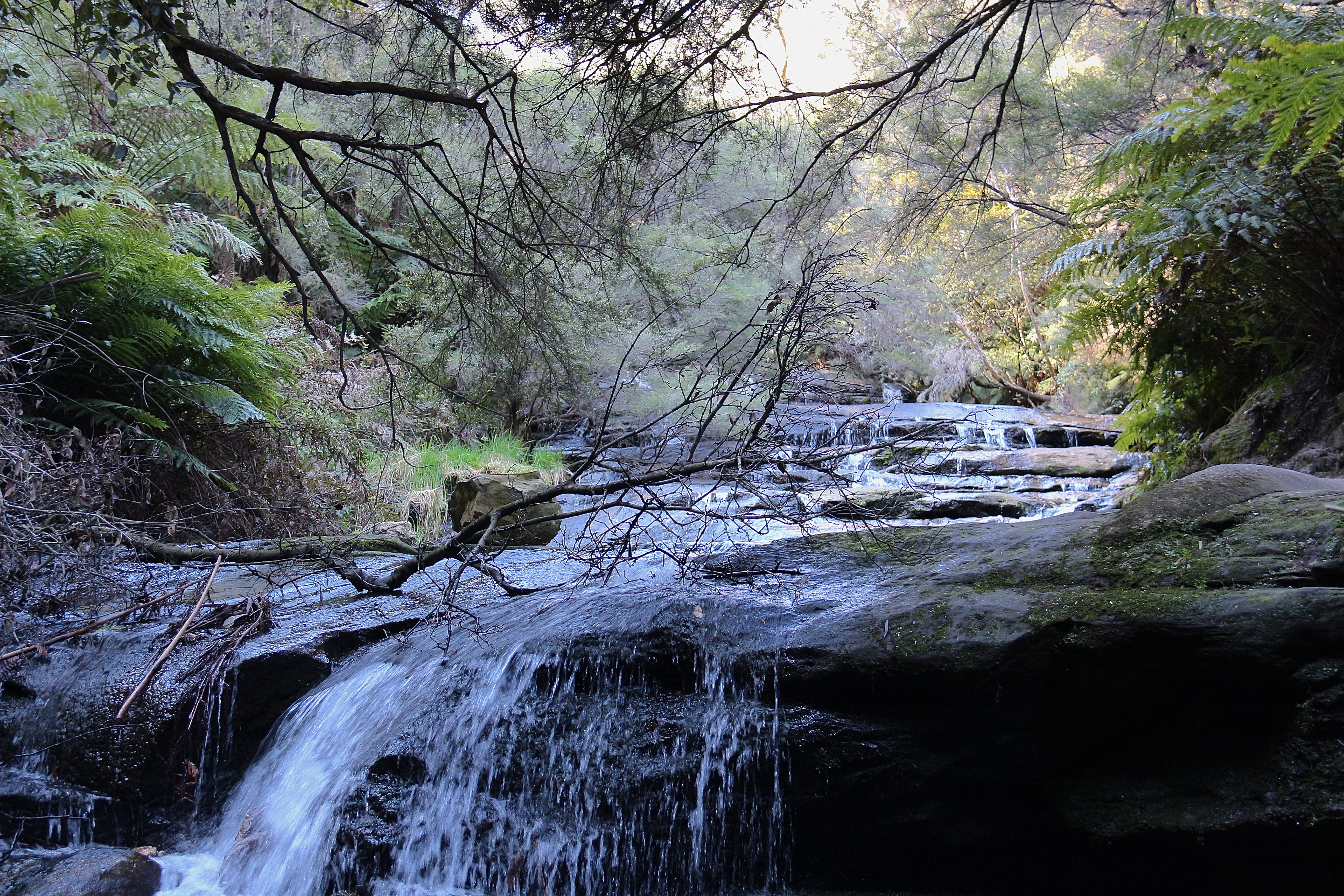 BLUE MOUNTAINS