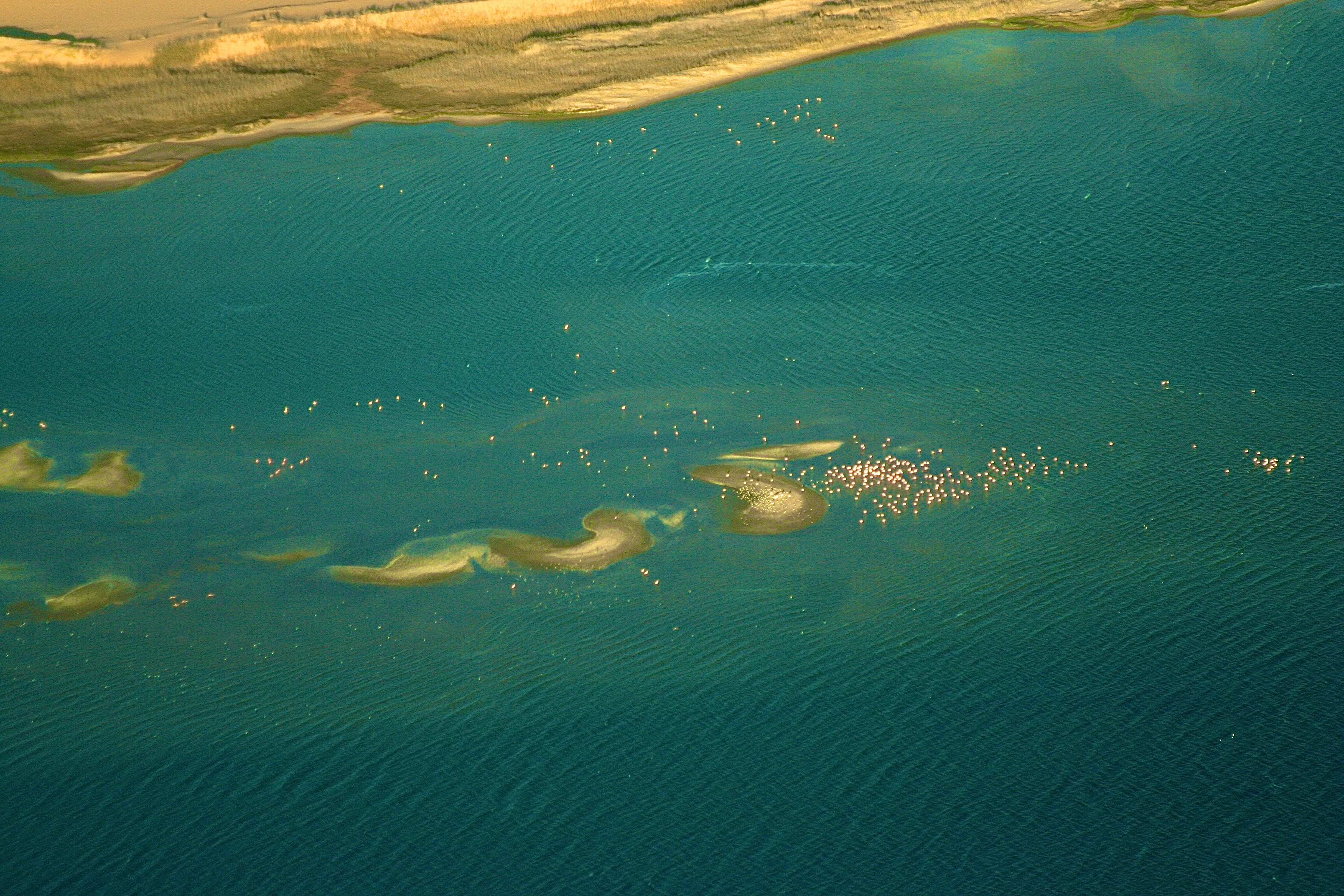 NAMIB