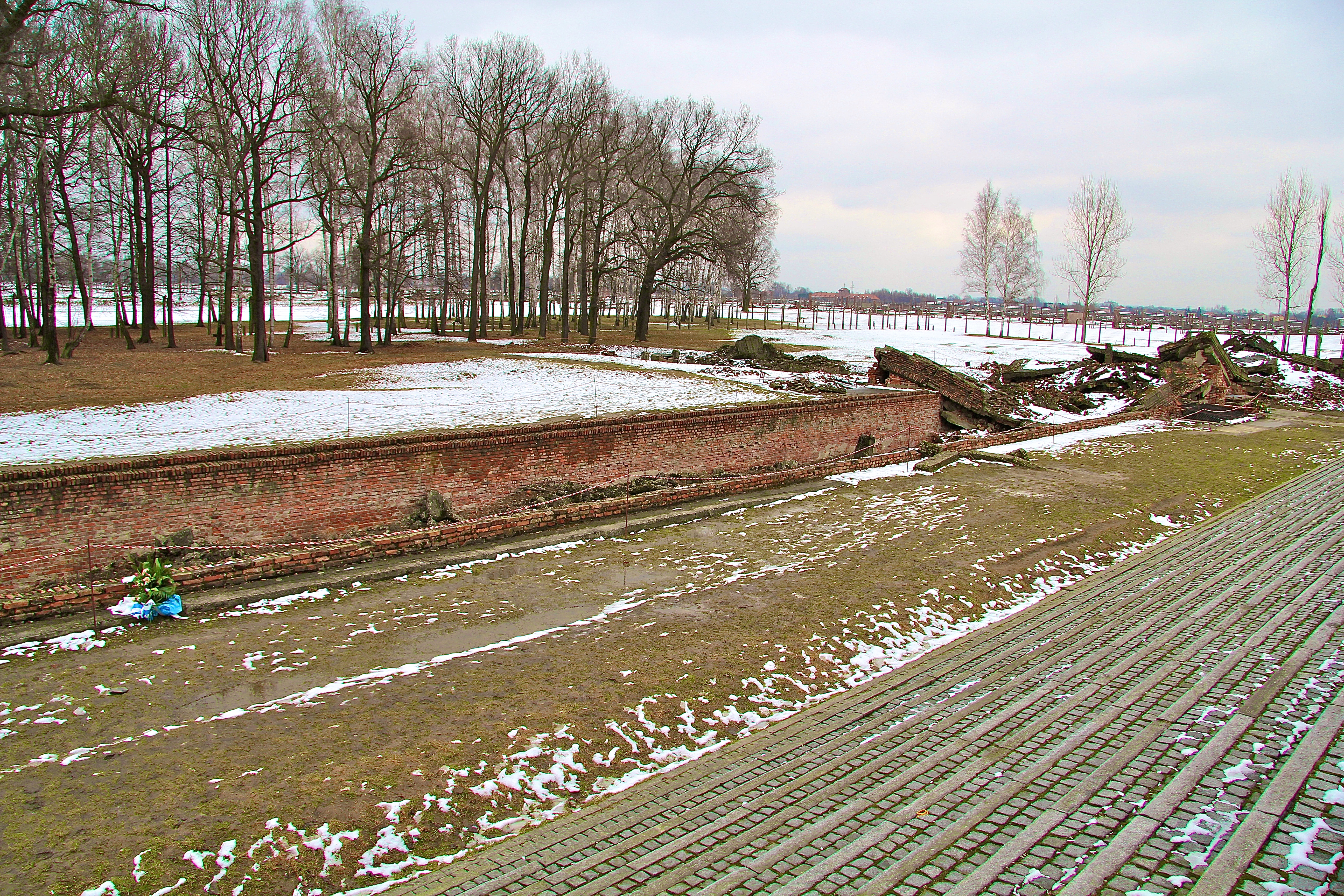 Birkenau, les chambres à gaz