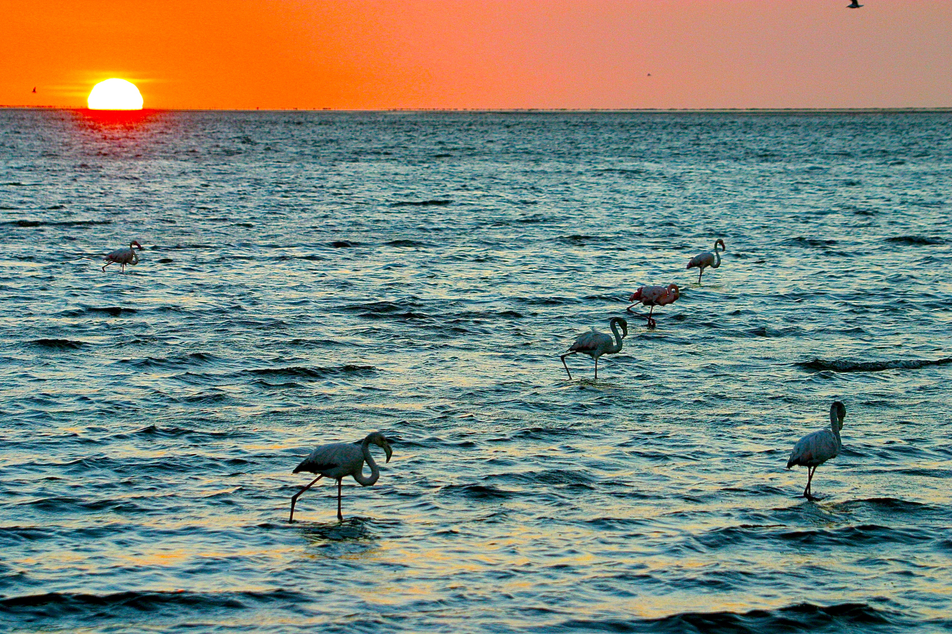 WALVIS BAY