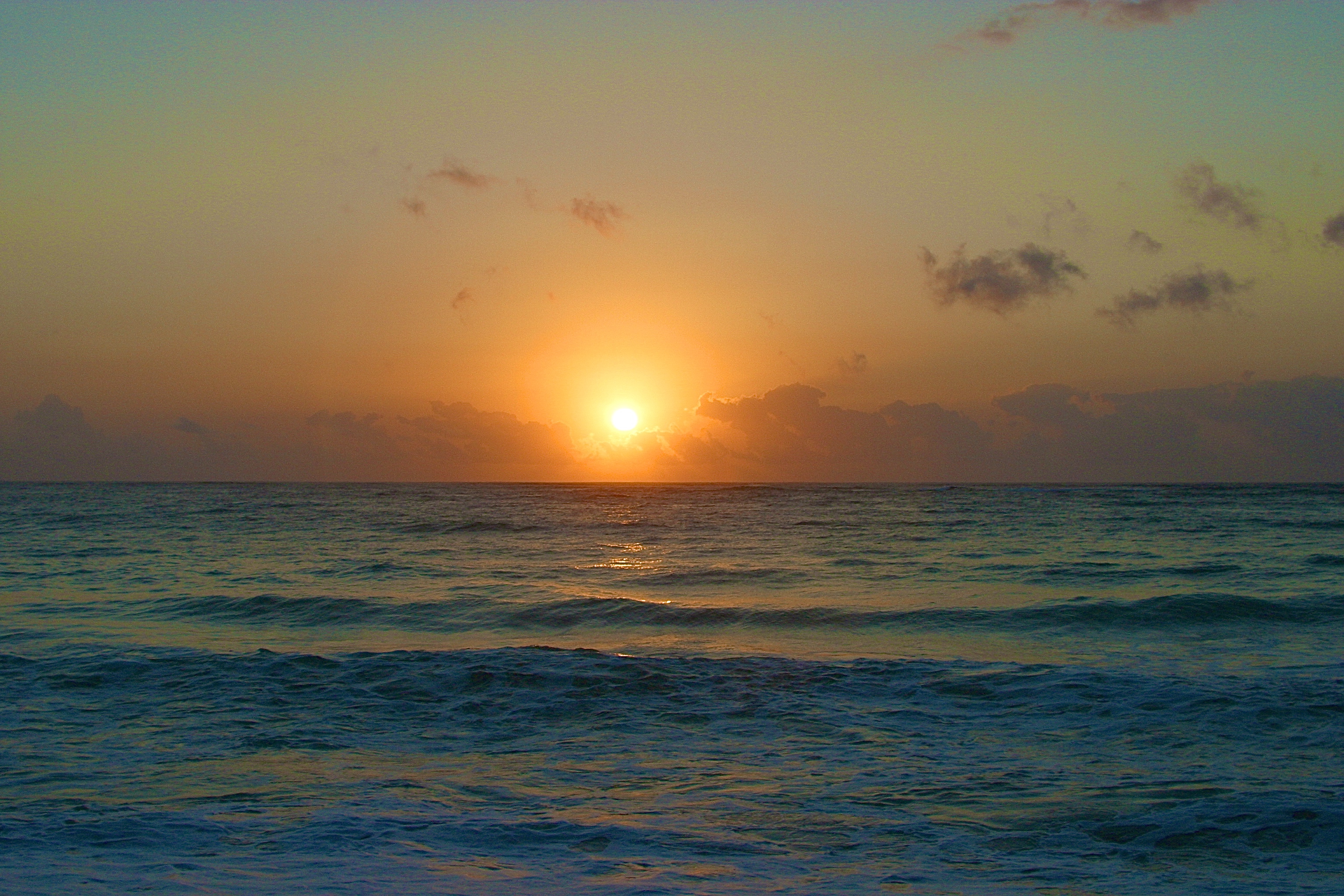 DIANI