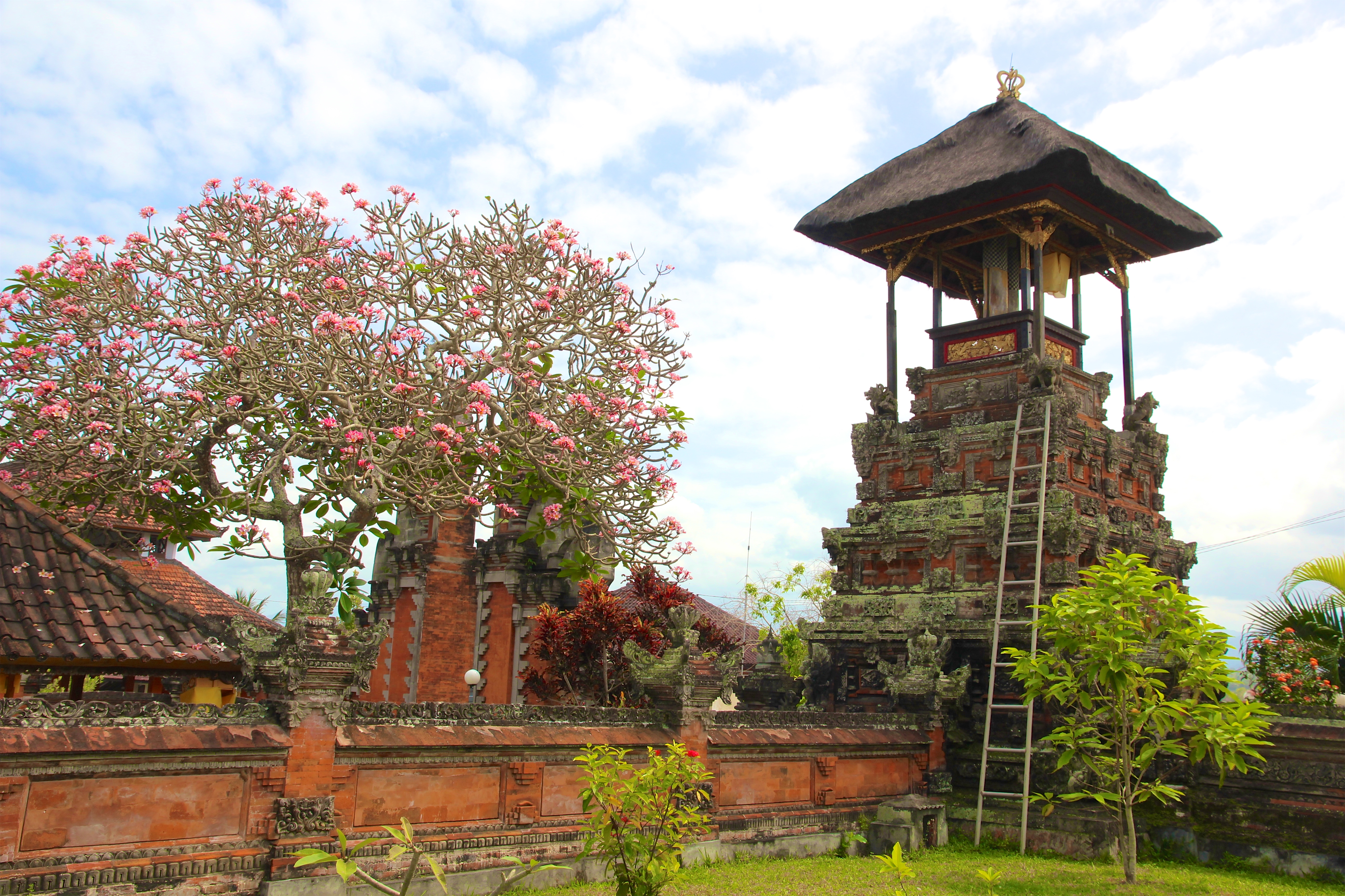 MEDEWI