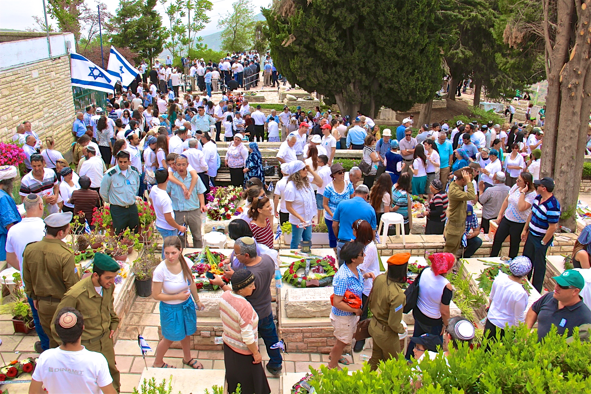 SAFED