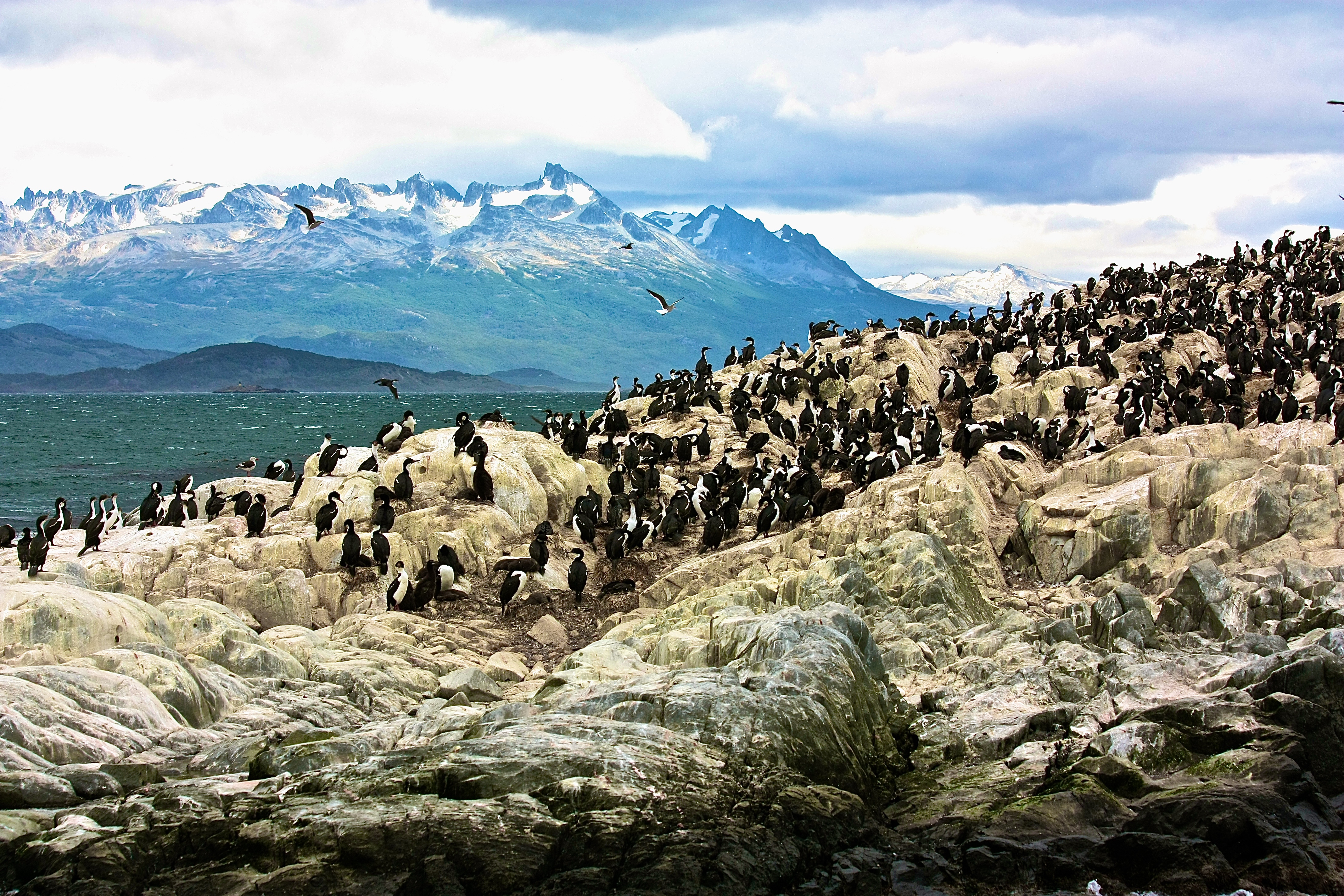 CANAL BEAGLE