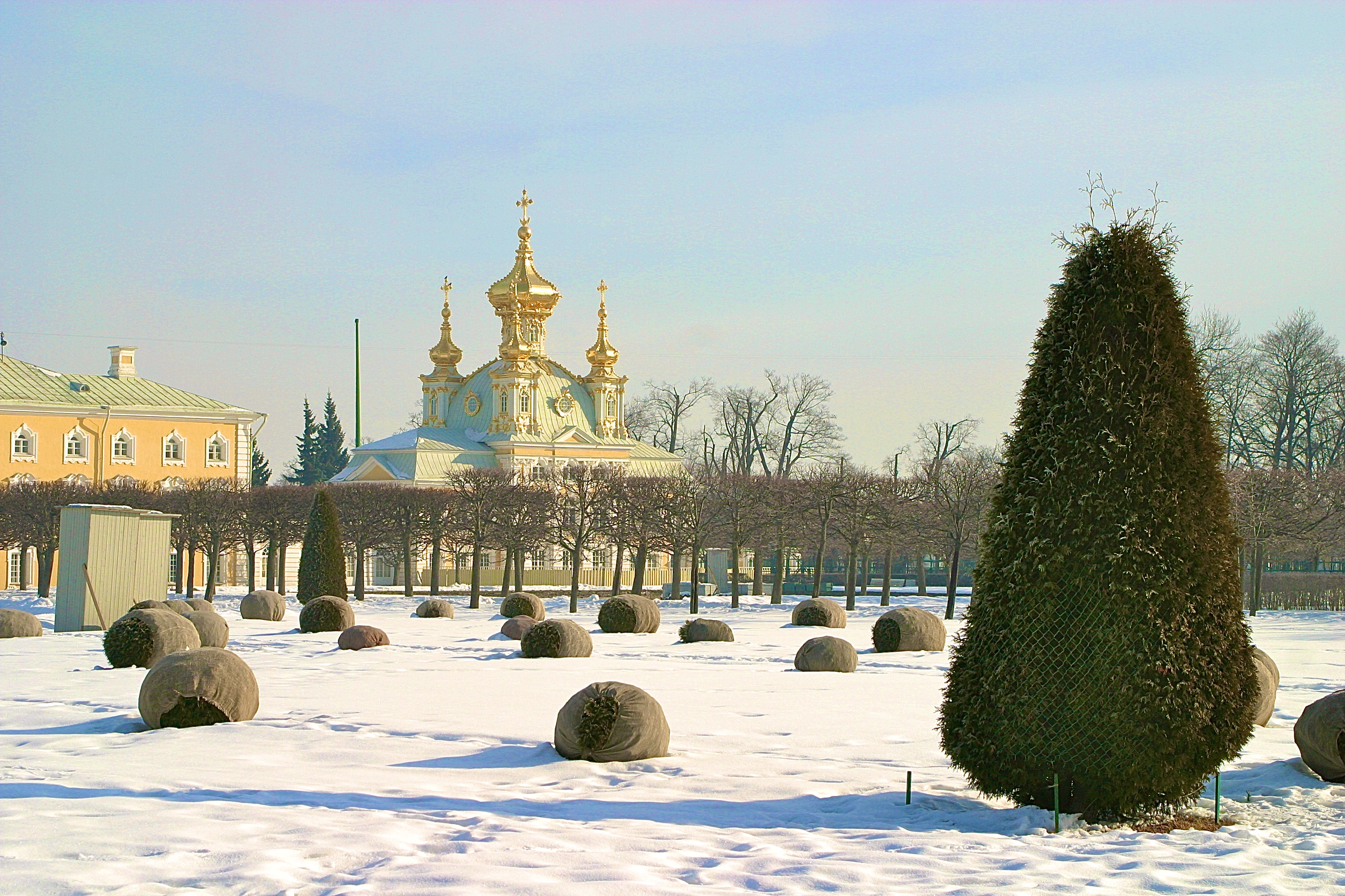 PETERHOF