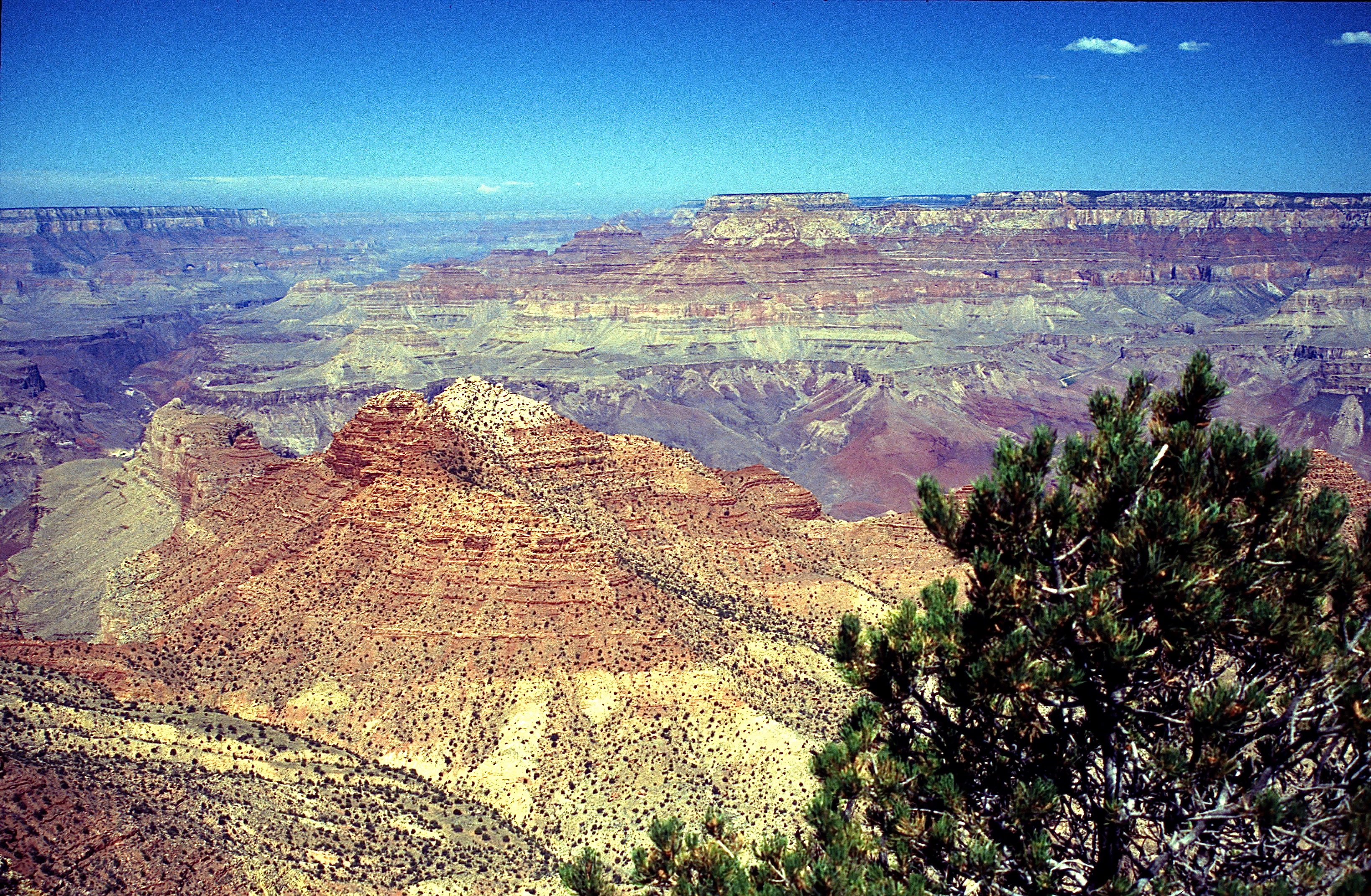 GRAND CANYON