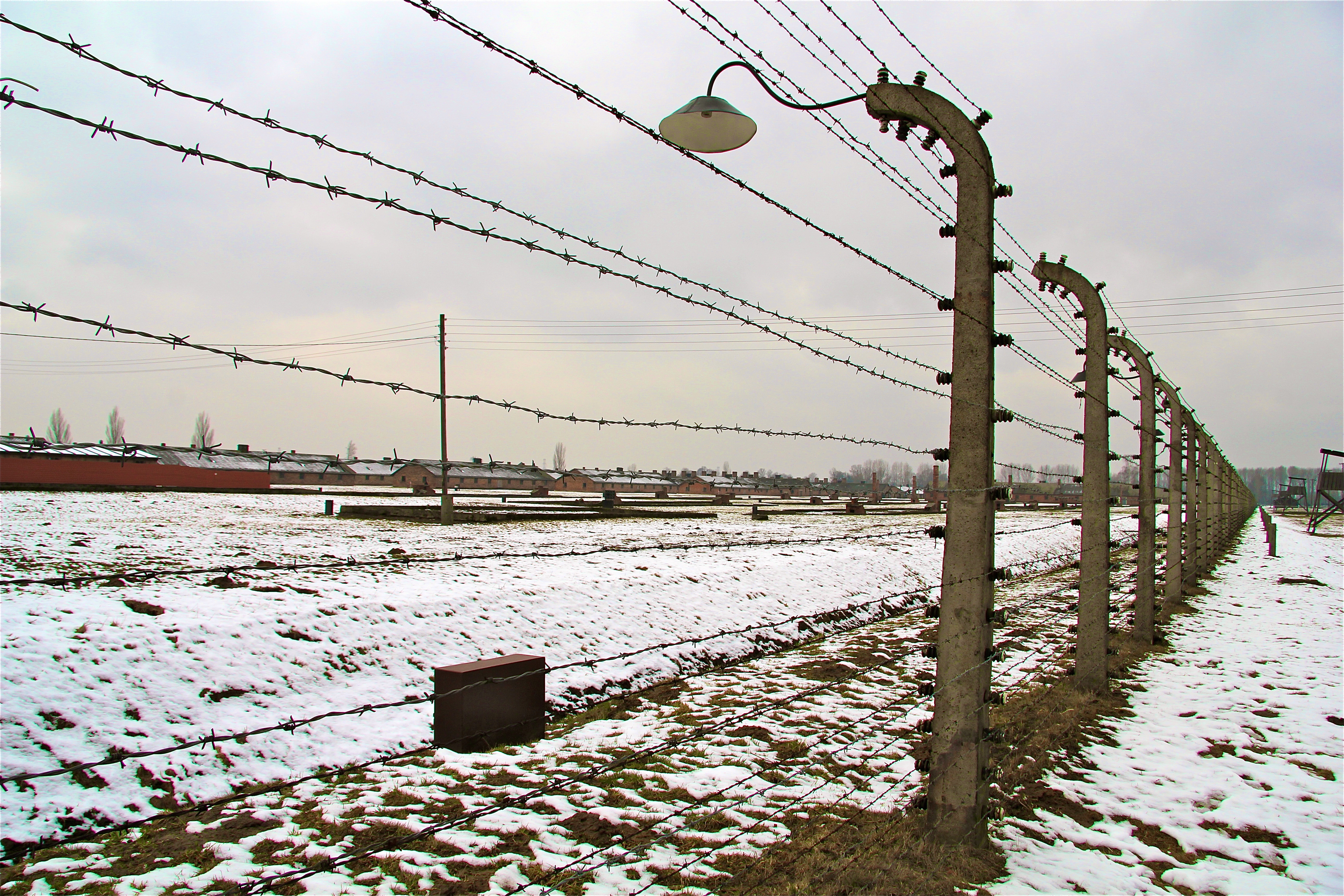 Birkenau
