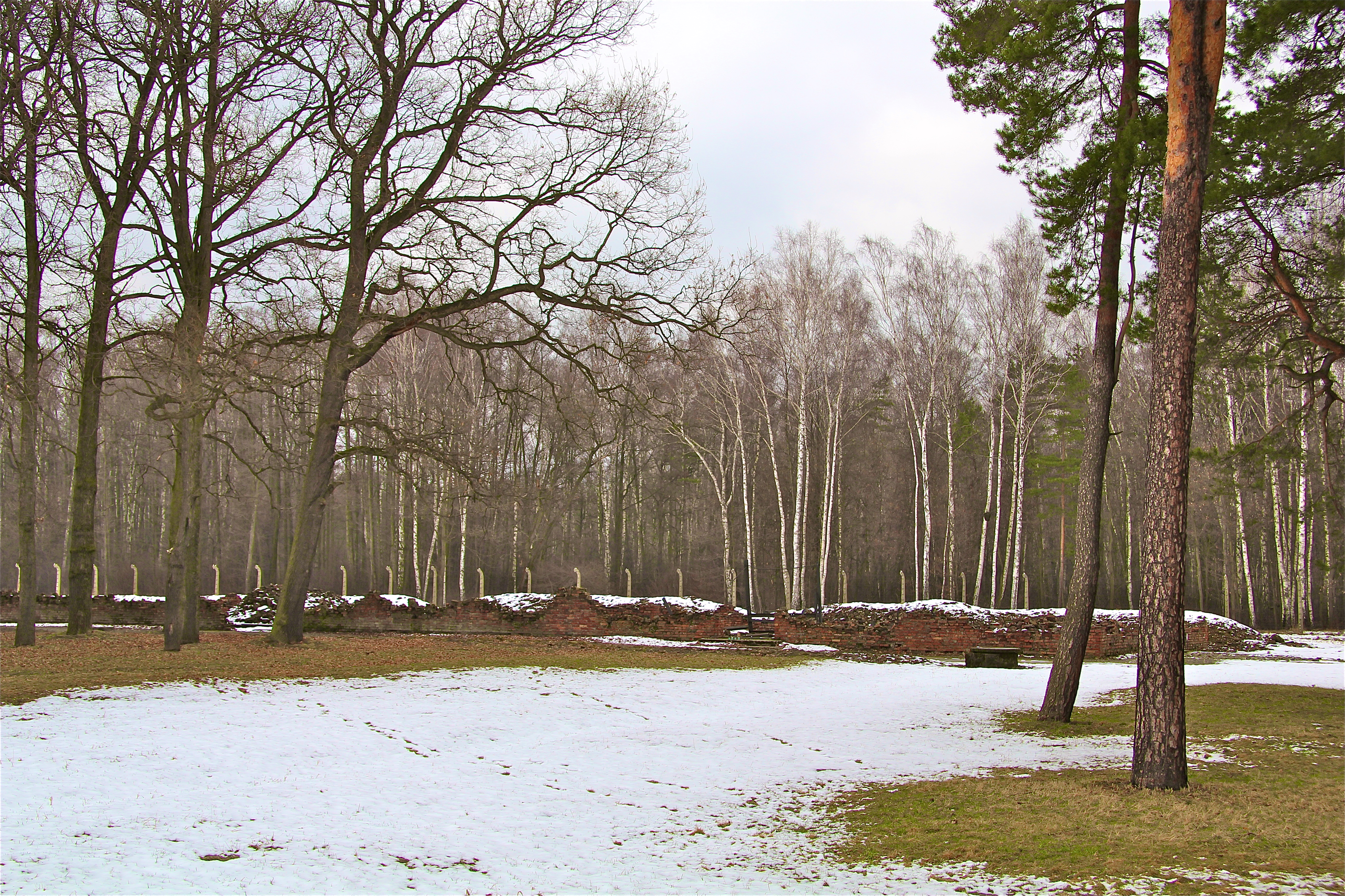 Birkenau, les bûchers