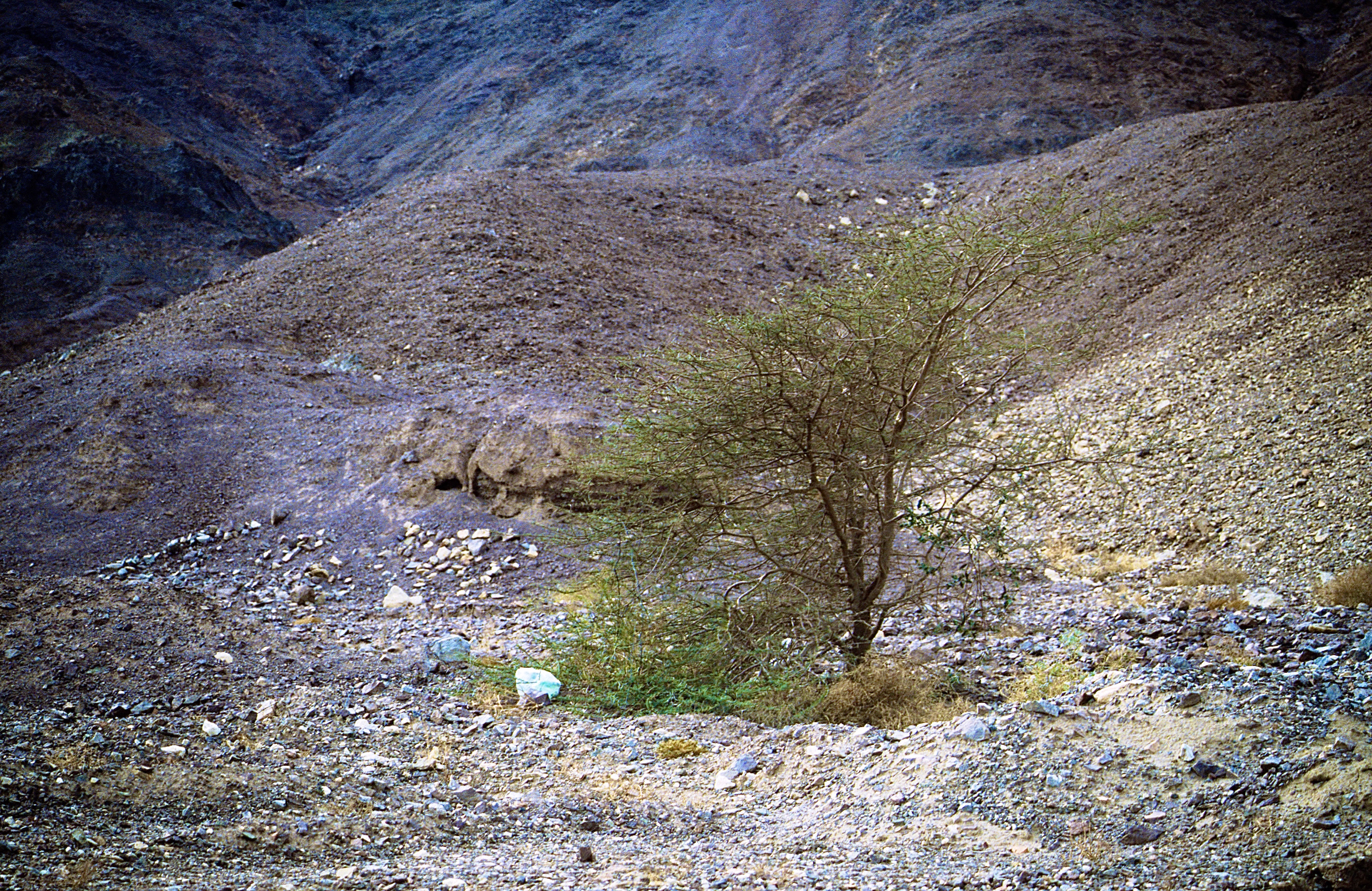 DÉSERT DU NÉGUEV