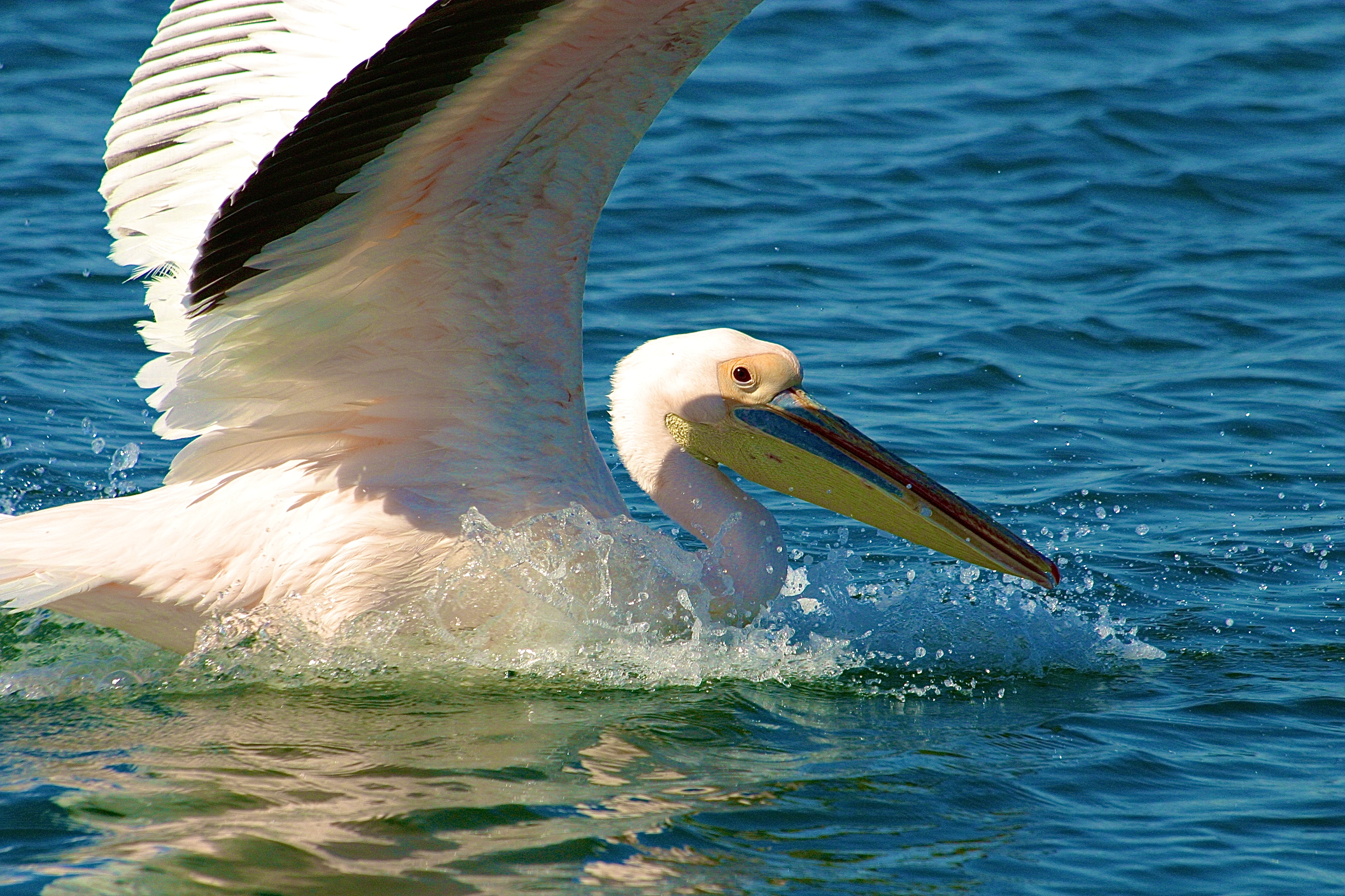 WALVIS BAY