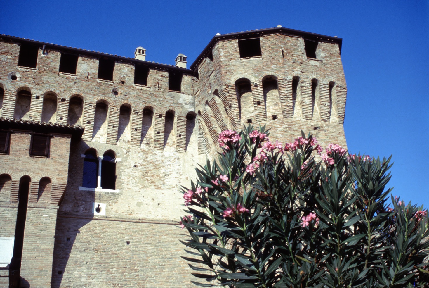 PESARO