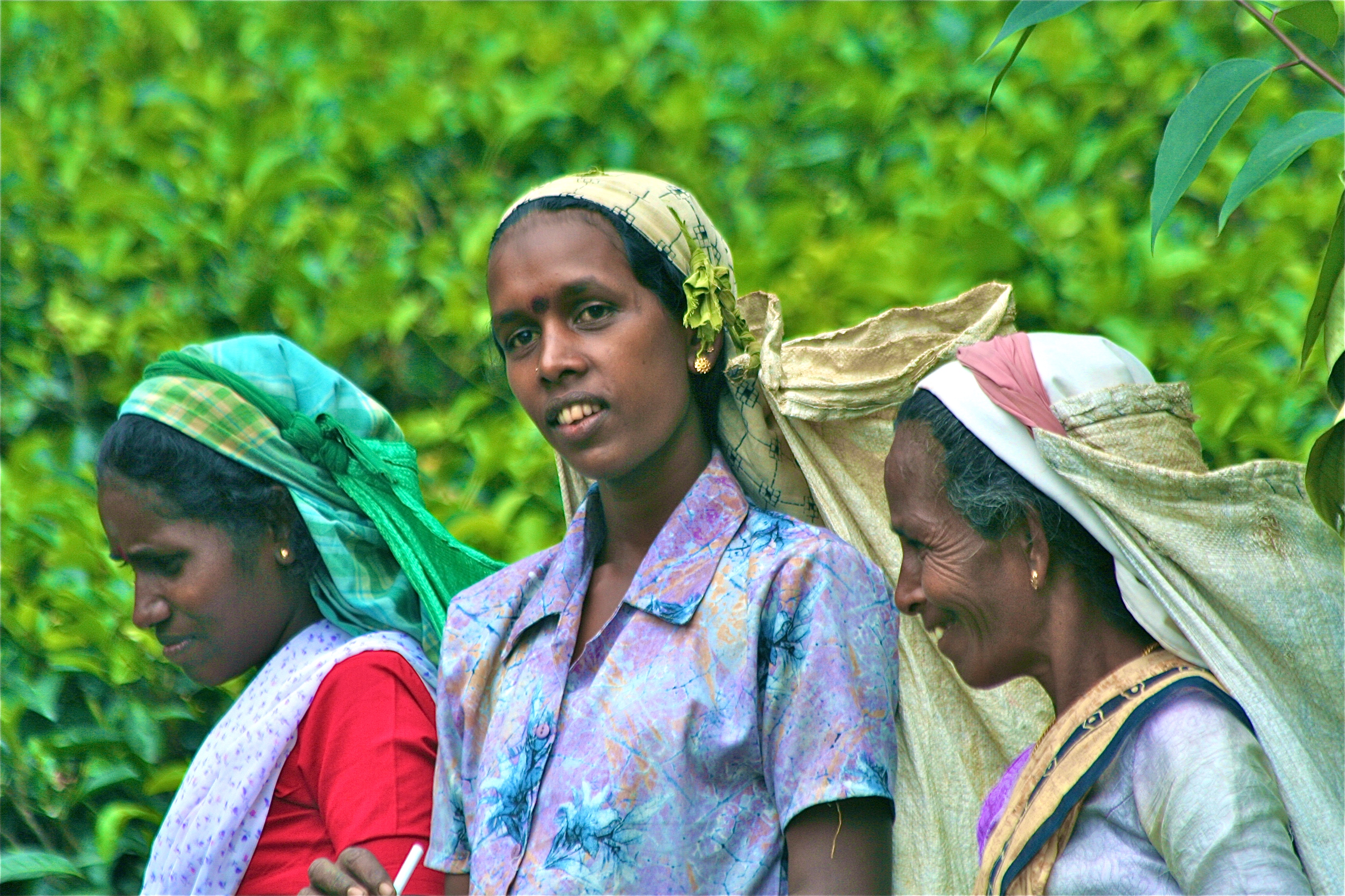 NUWARA ELIYA