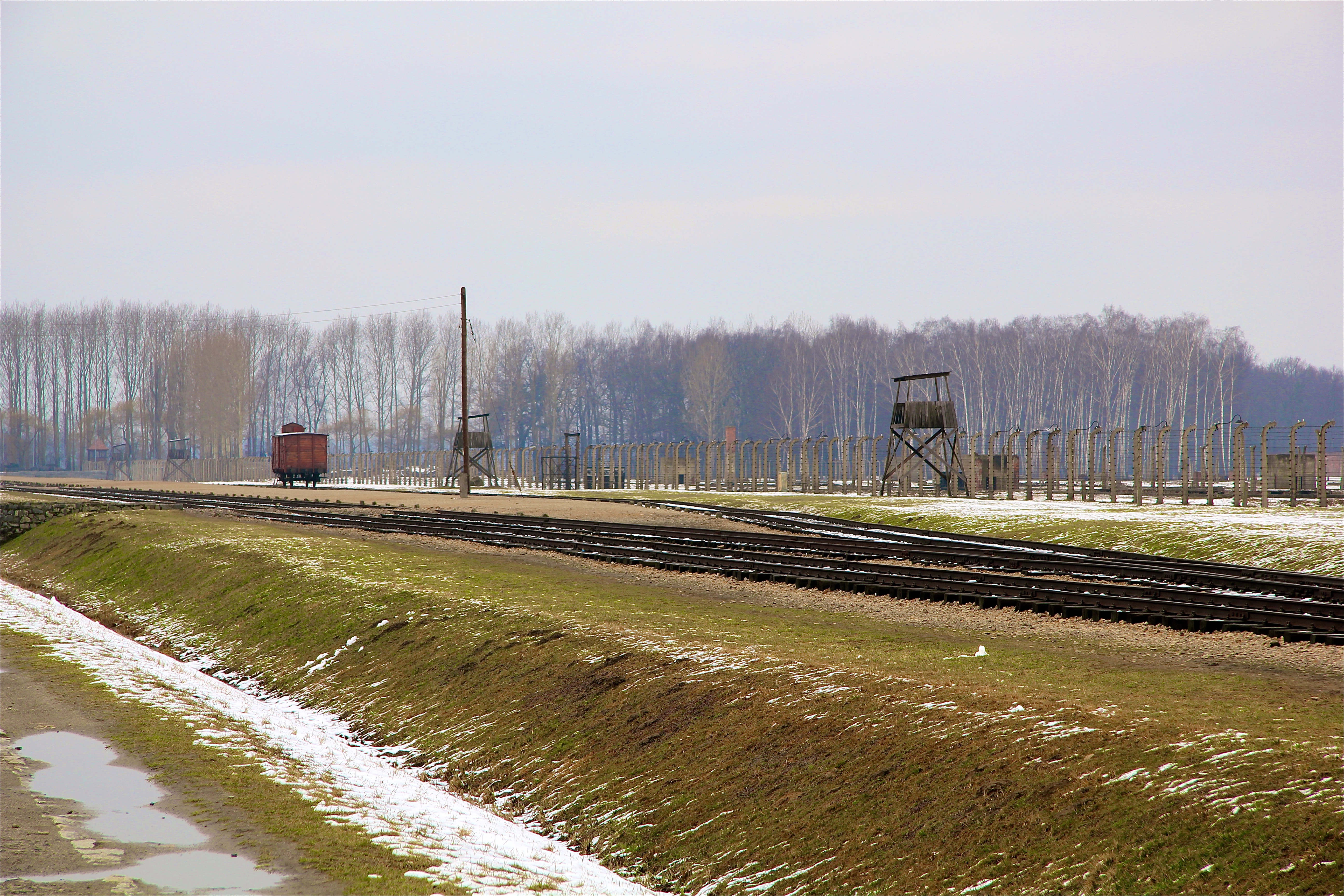 Birkenau, le quai de débarquement
