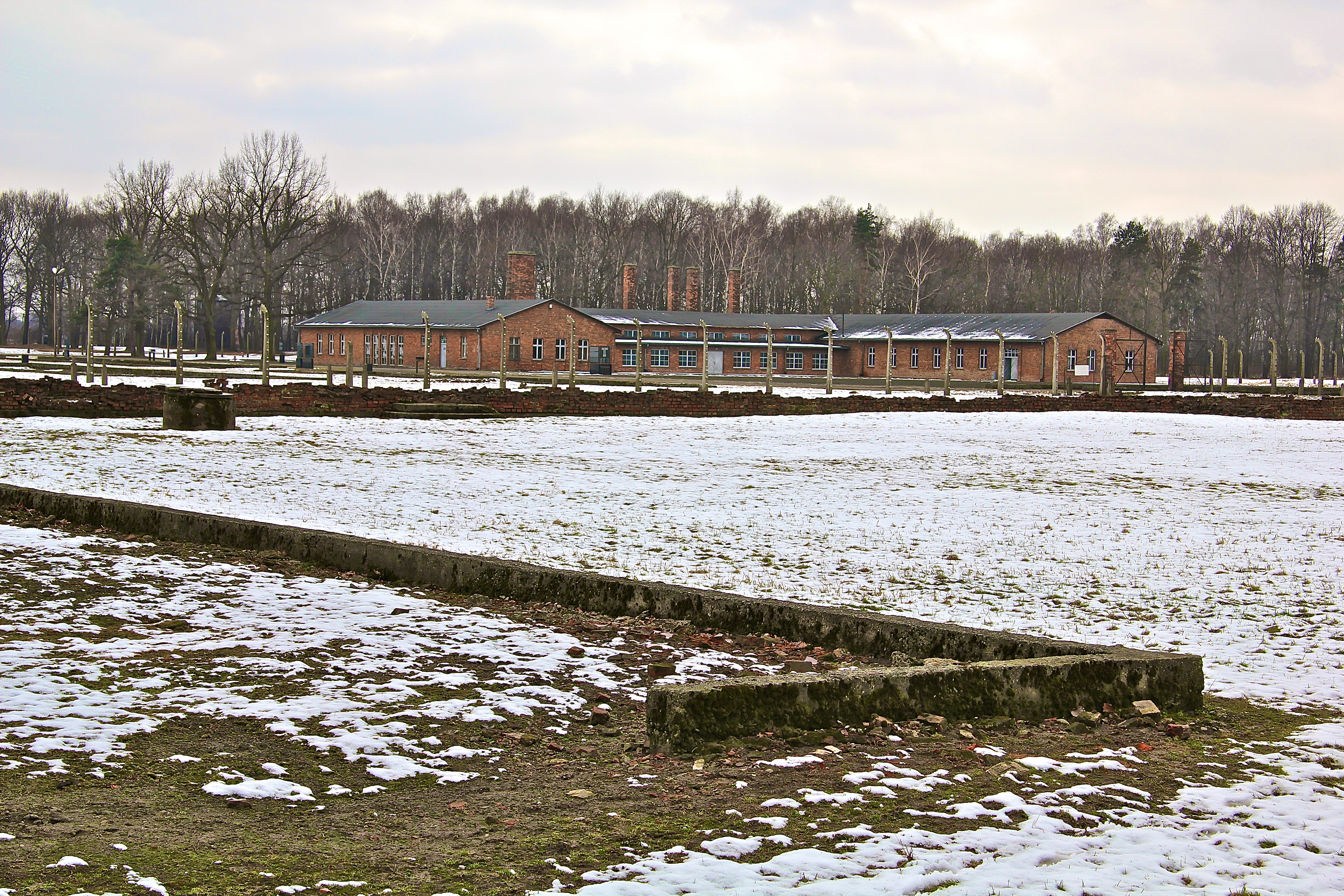 Birkenau, les bûchers