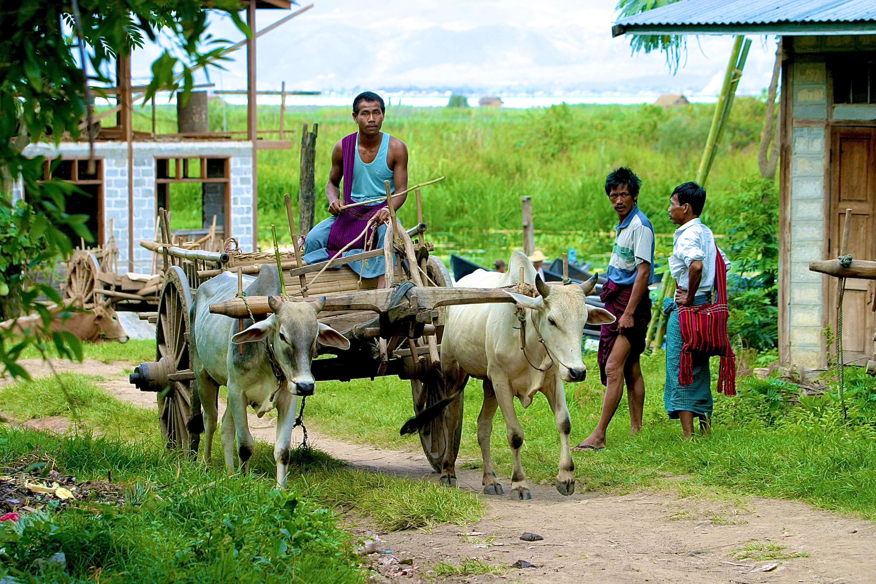NYAUNG-SHWE