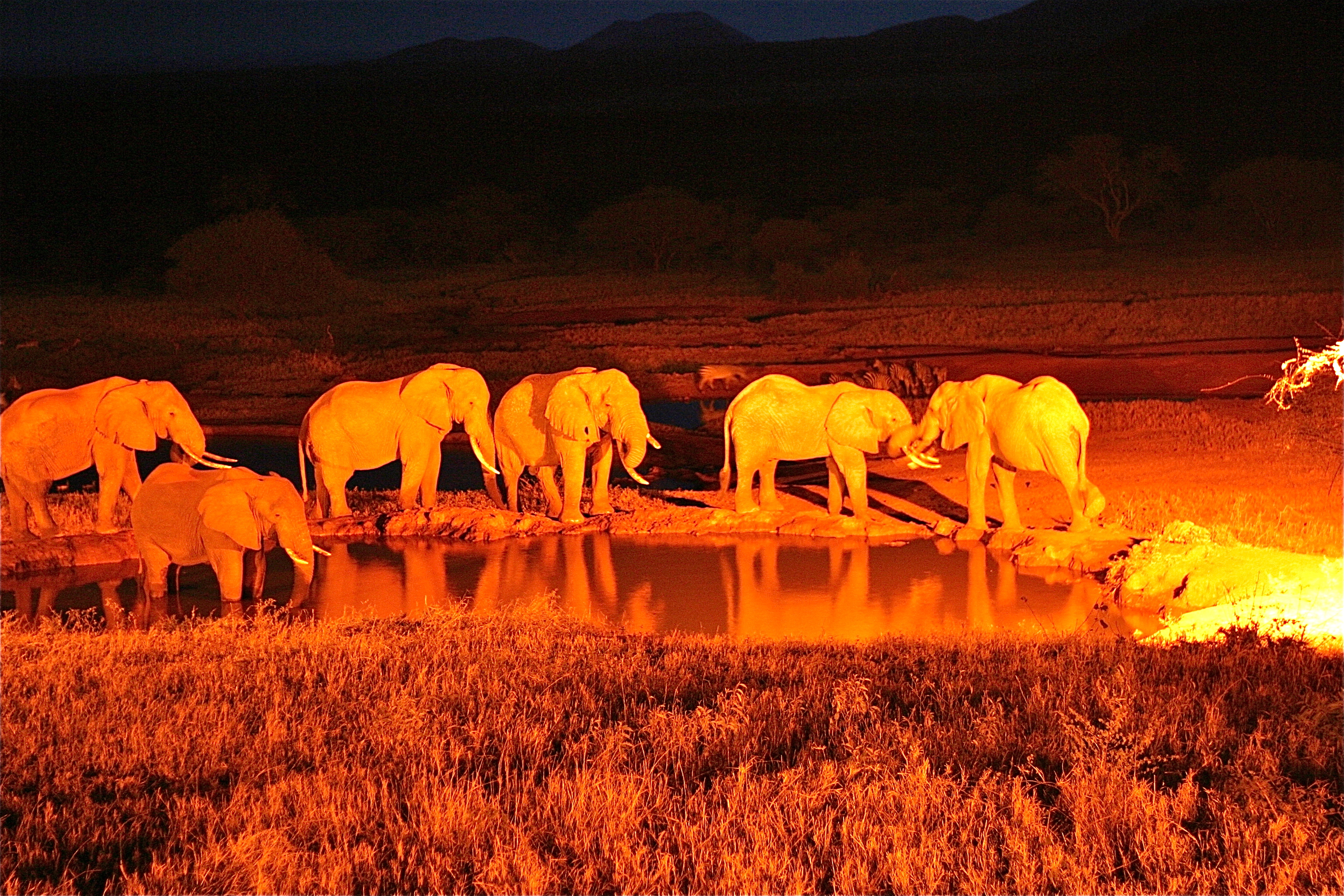 PARC NATIONAL DE TSAVO-WEST