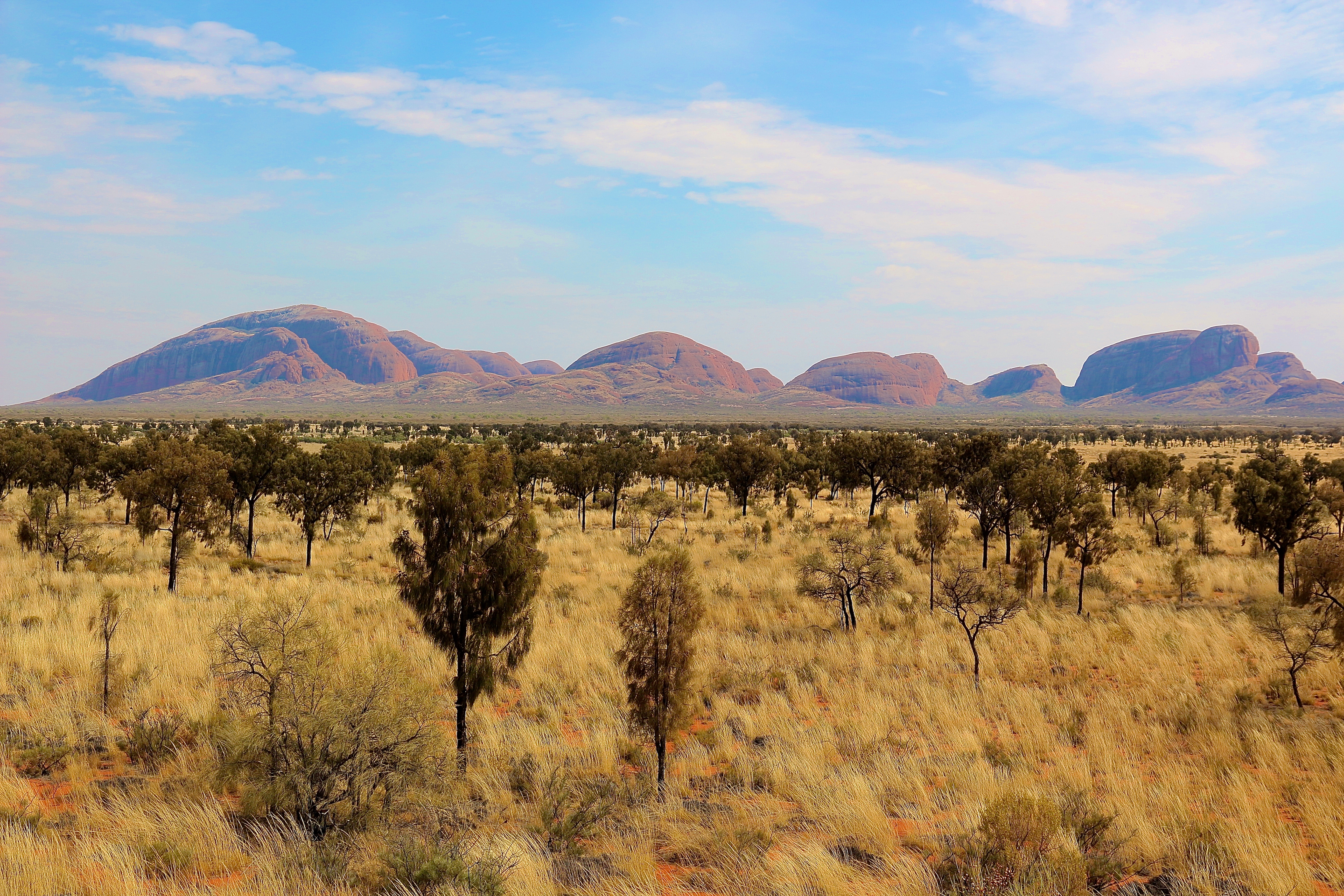 KATA TJUTA (MONTS OLGA)