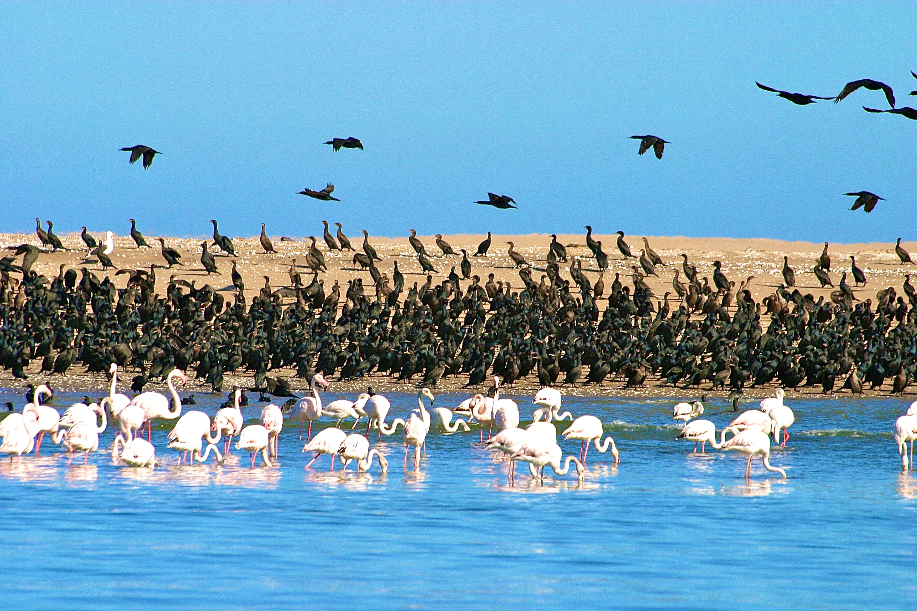 WALVIS BAY