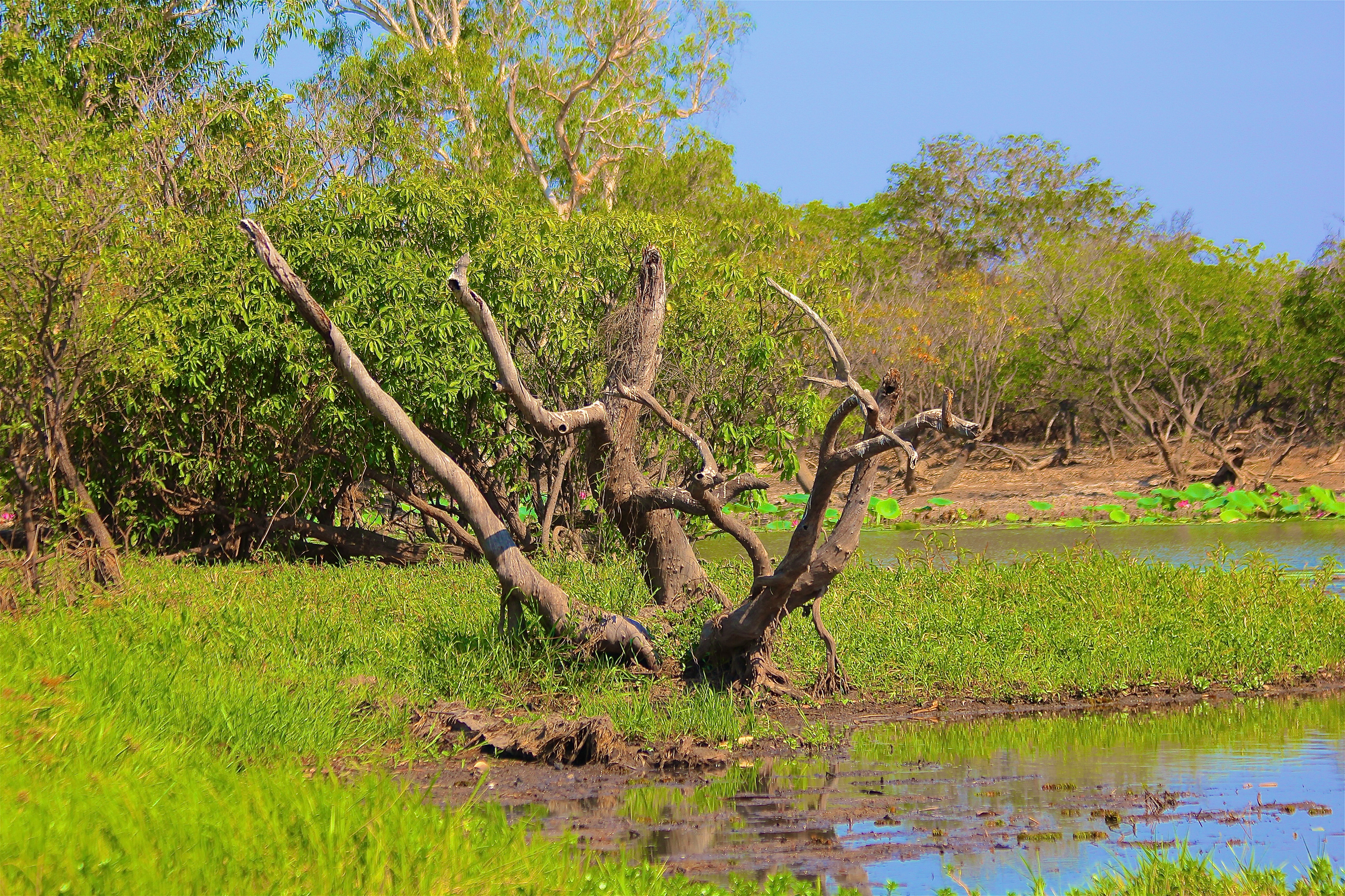 KAKADU NATIONAL PARK