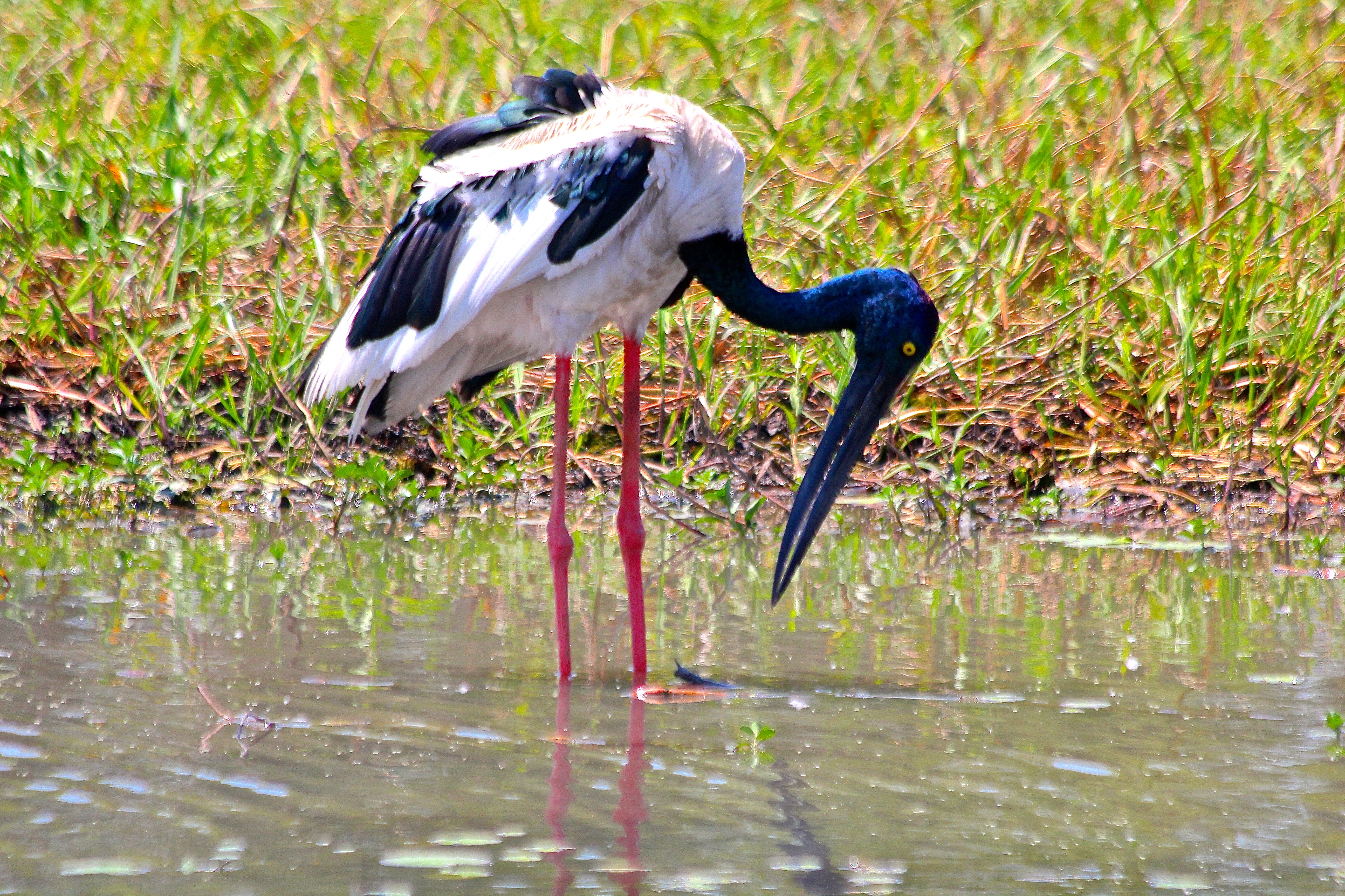 KAKADU NATIONAL PARK