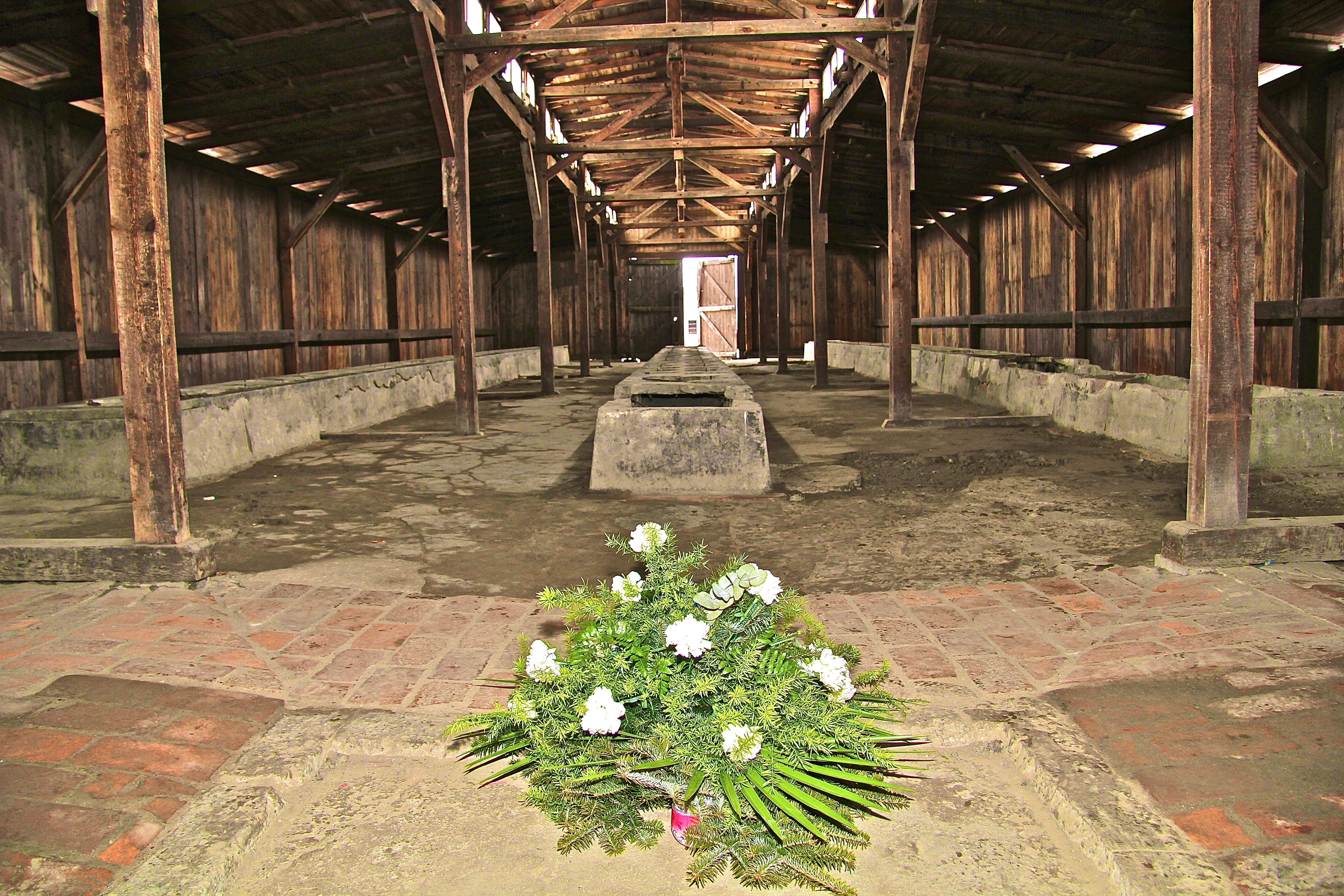 Birkenau, les latrines