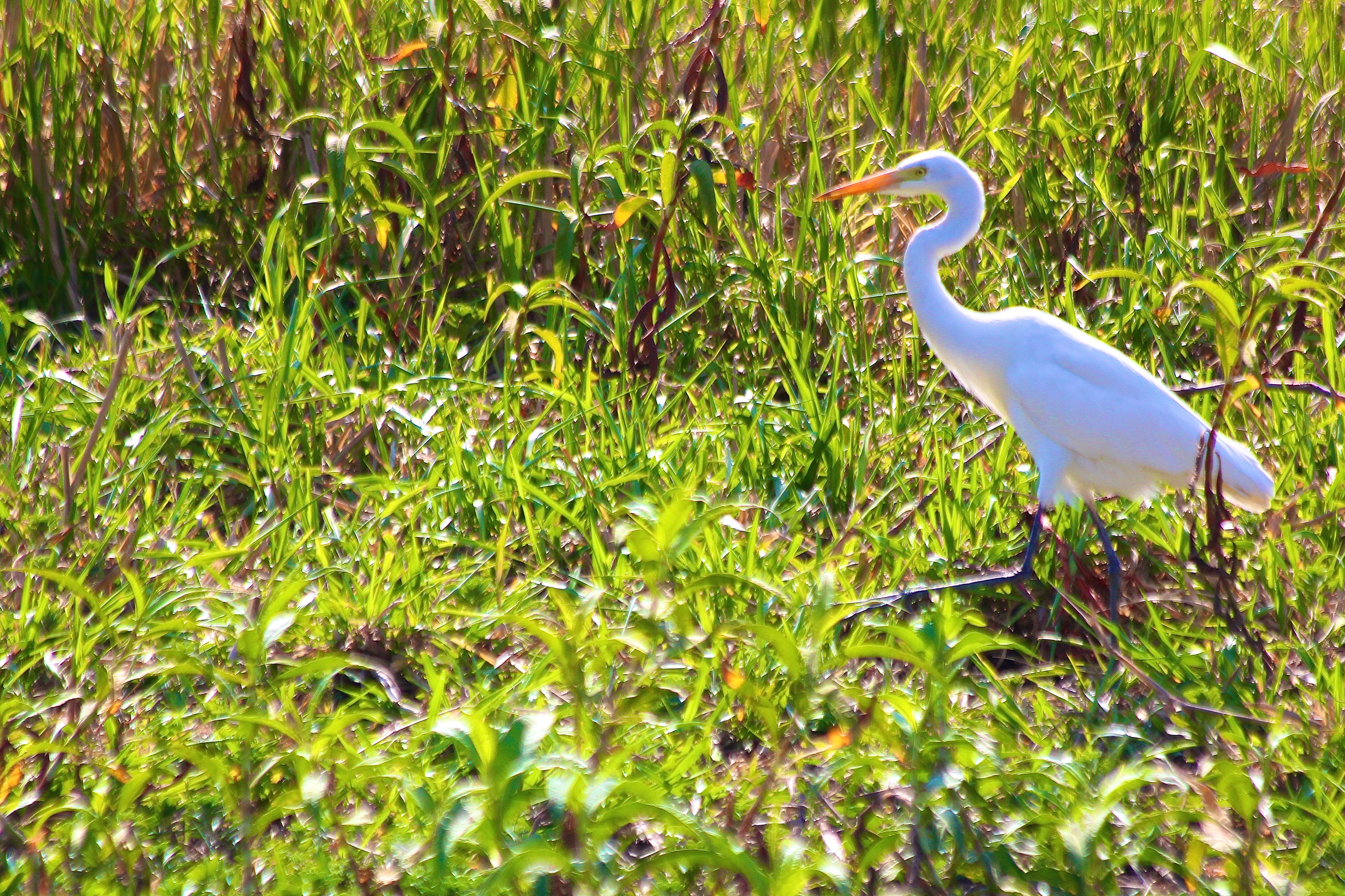 KAKADU NATIONAL PARK